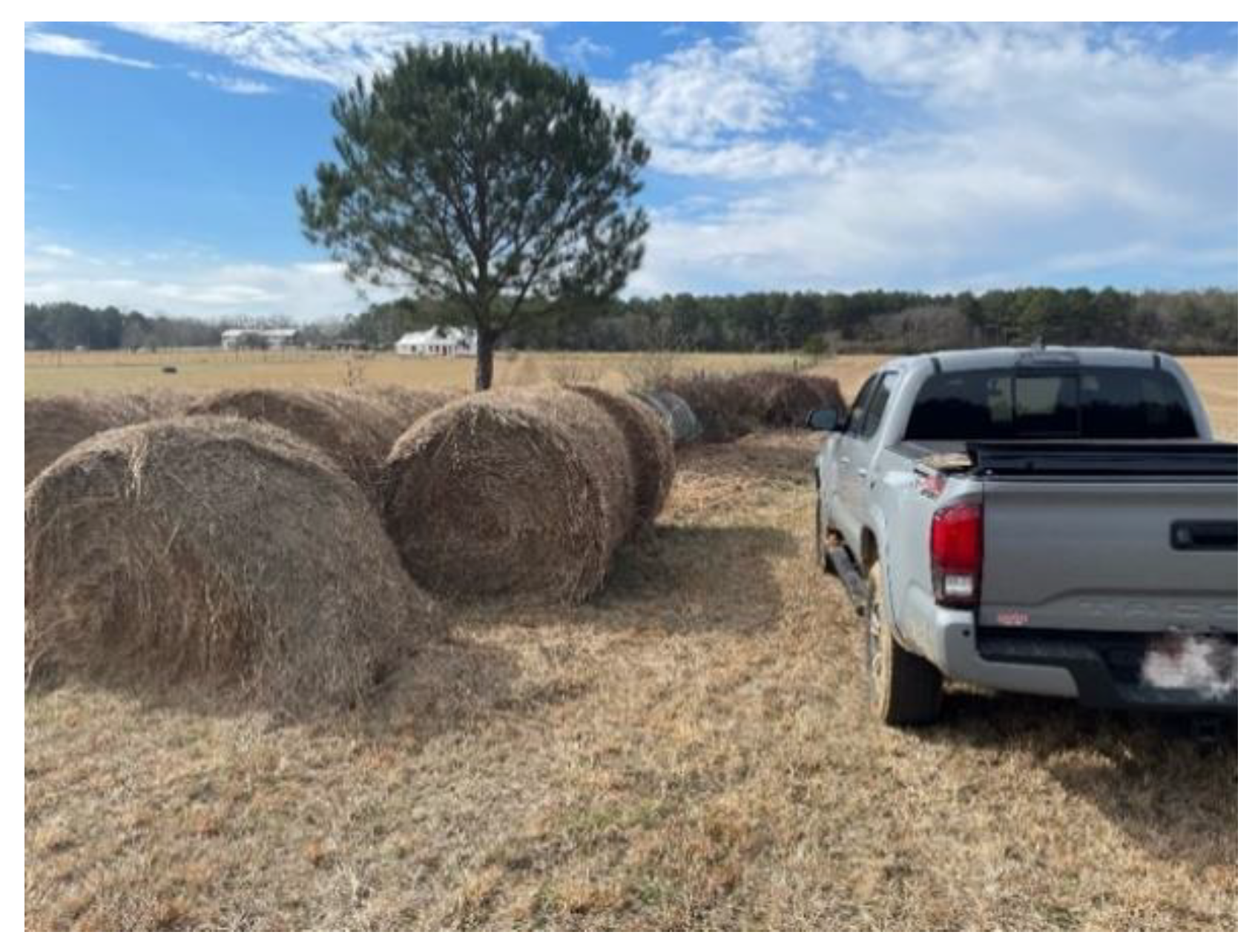 Sustainability 13 02905 g004