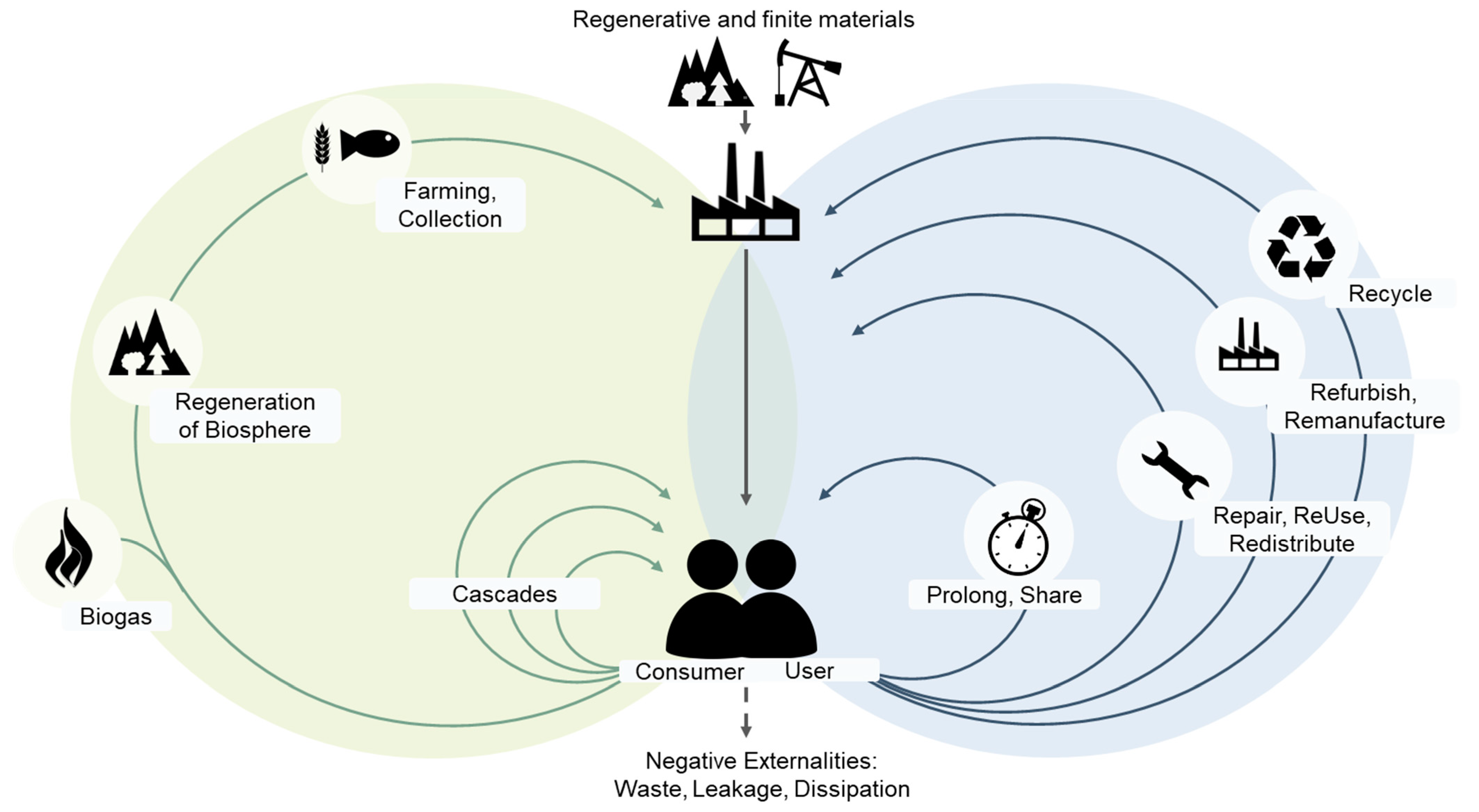 Sustainability 13 02984 g001