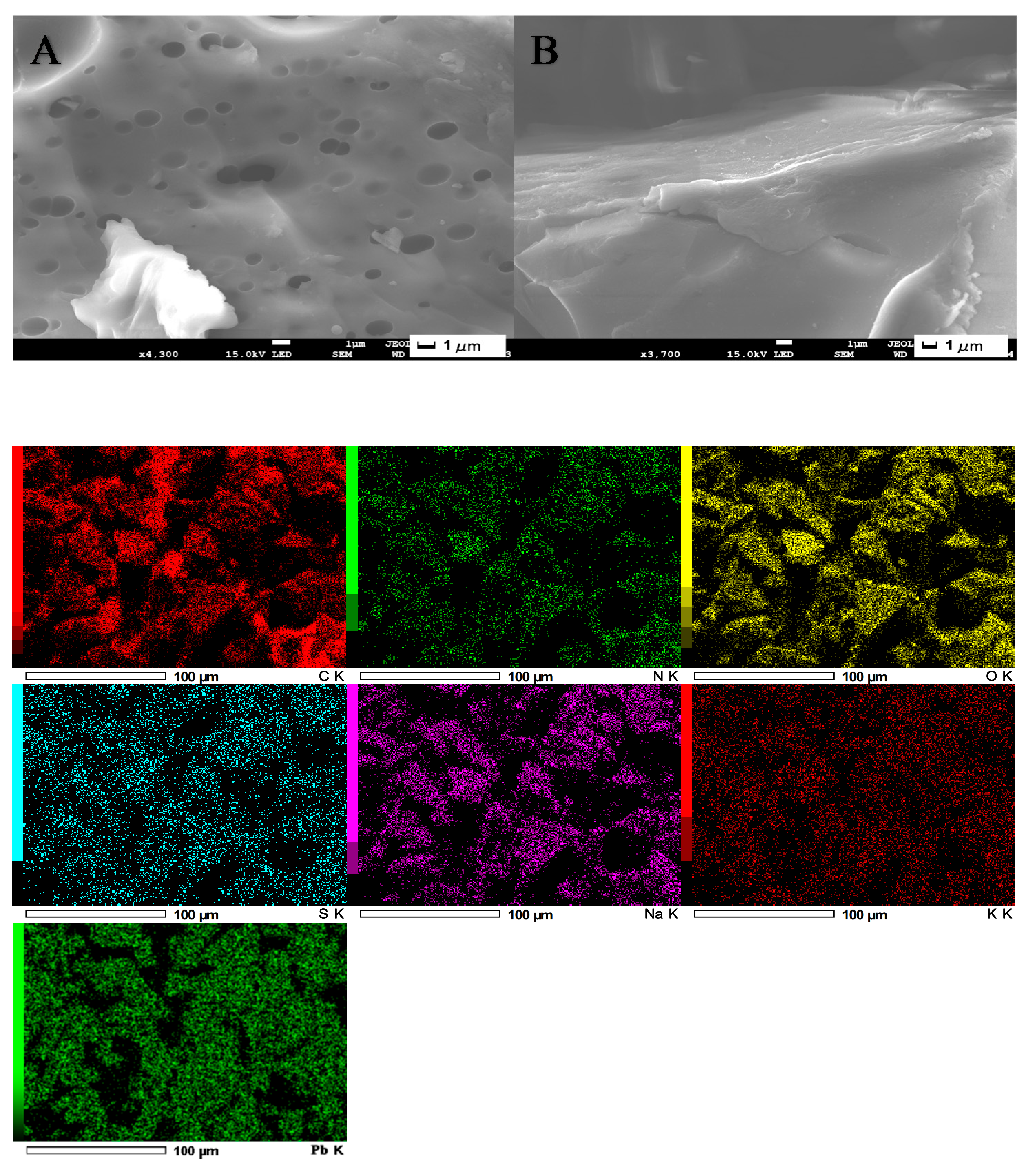 Sustainability 13 02997 g001