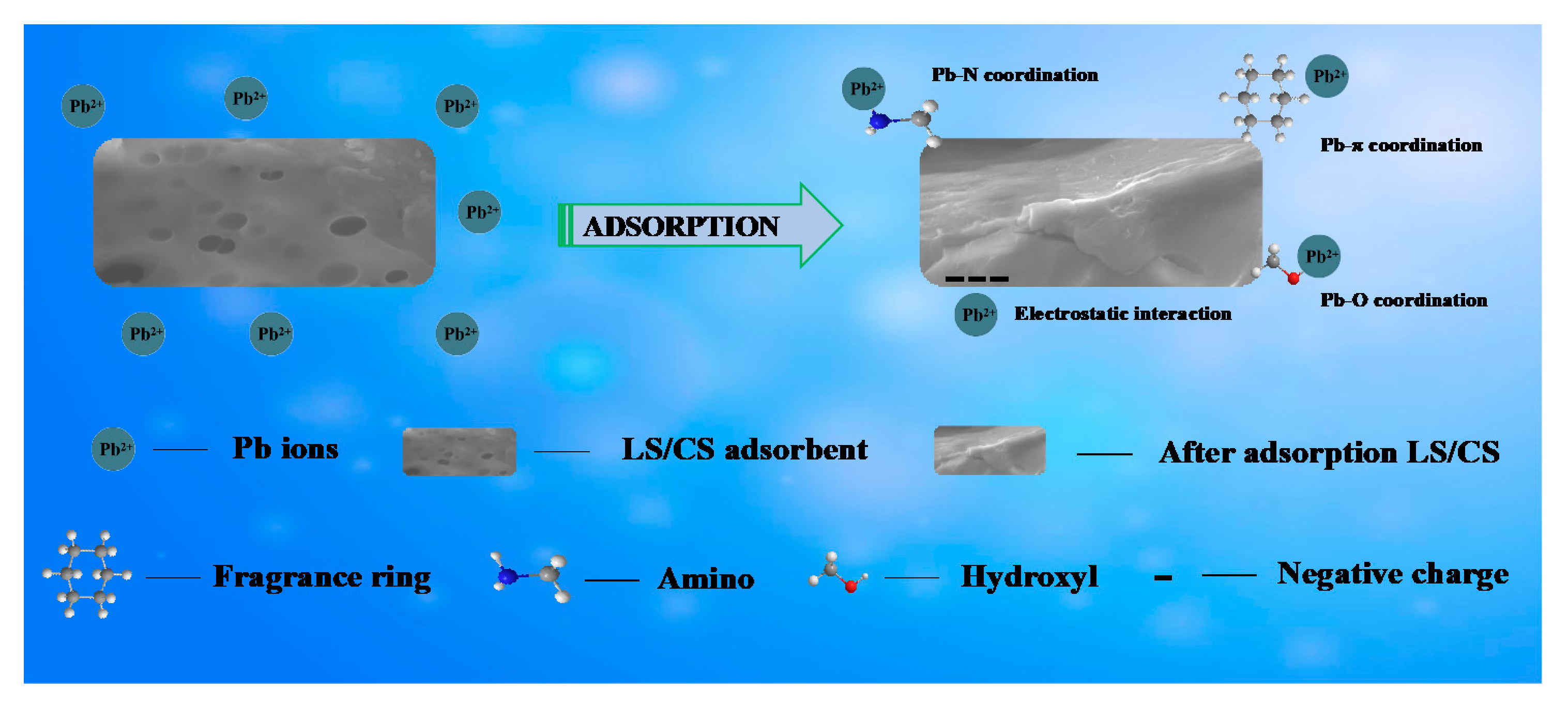 Sustainability 13 02997 g008