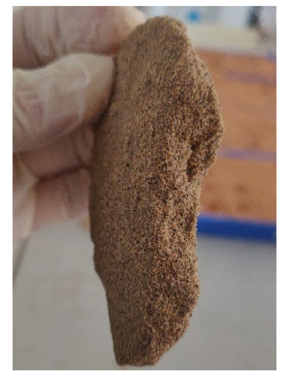 Sustainability 13 02998 g004