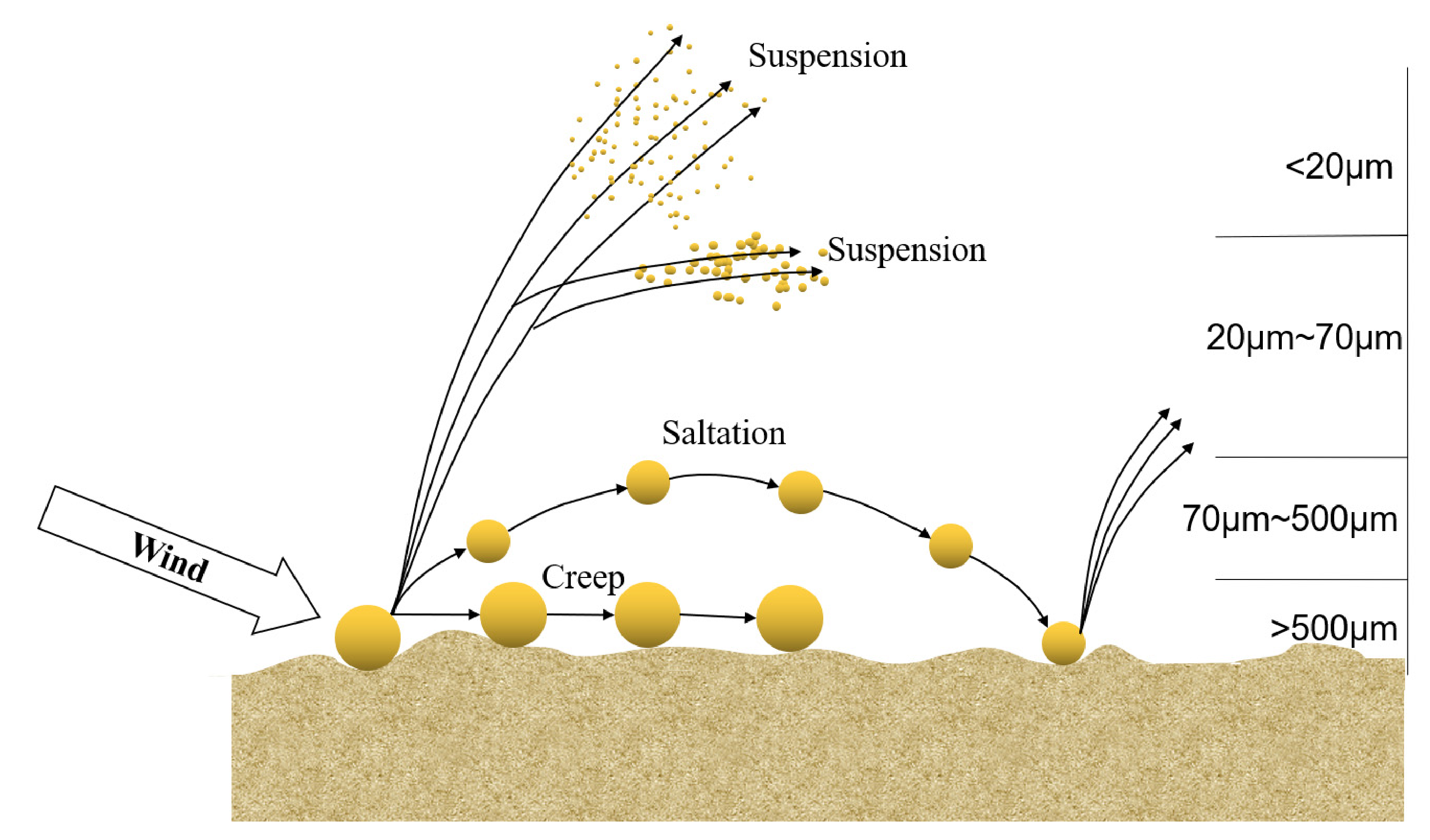 Sustainability 13 02998 g007