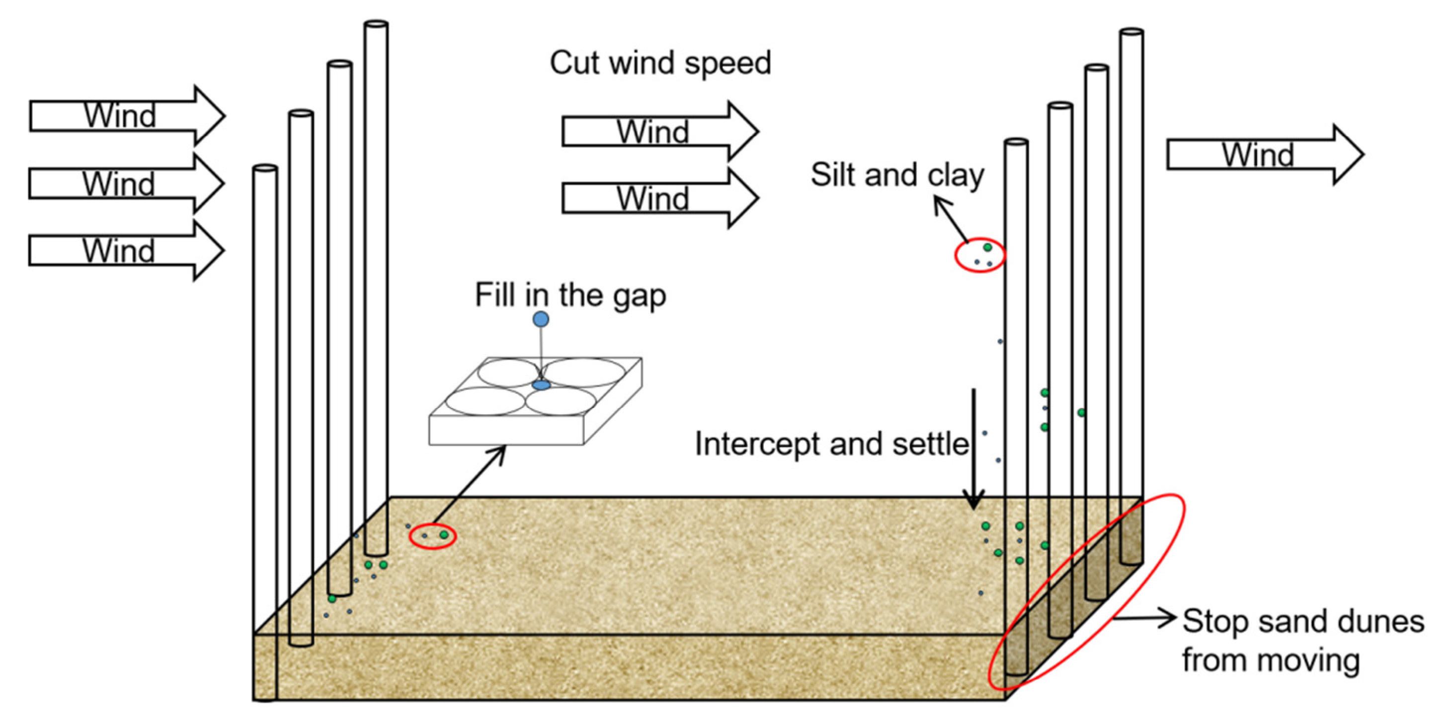 Sustainability 13 02998 g008