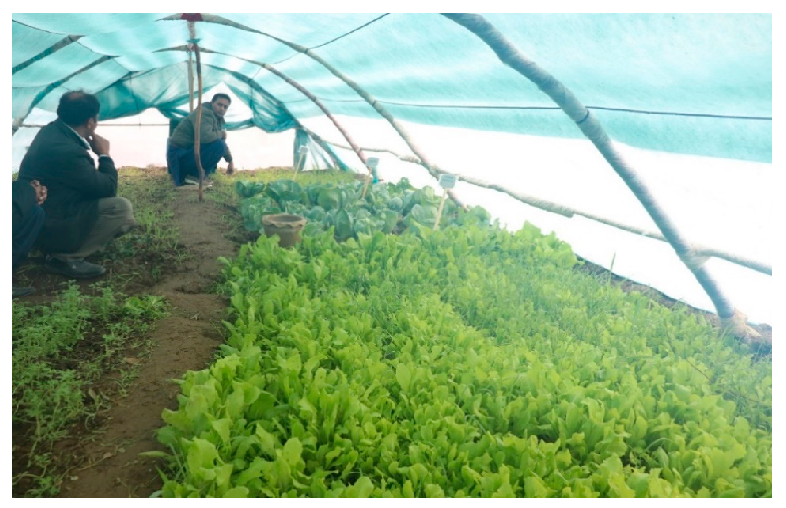 Sustainability 13 03057 g003 Sustainability 13 03057 g003