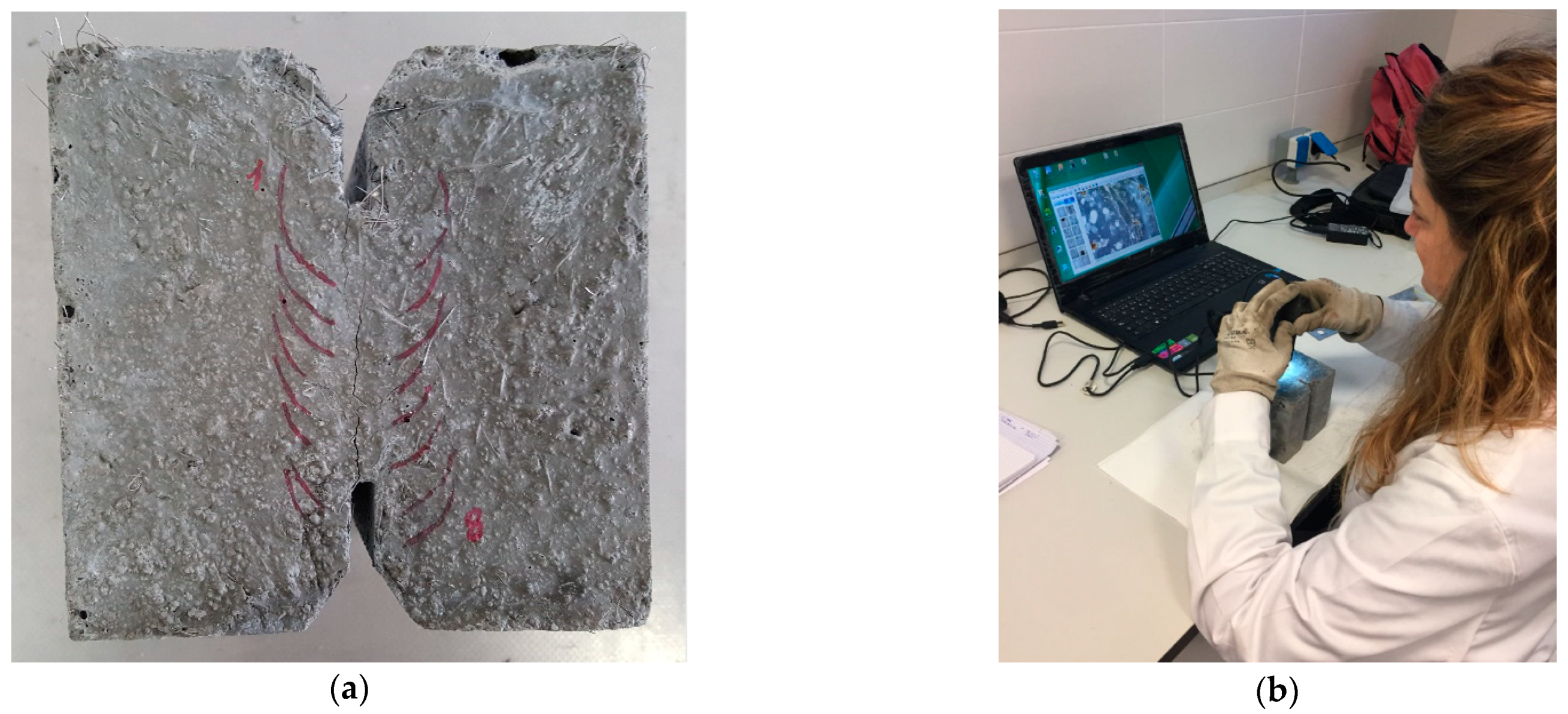 Sustainability 13 03061 g003