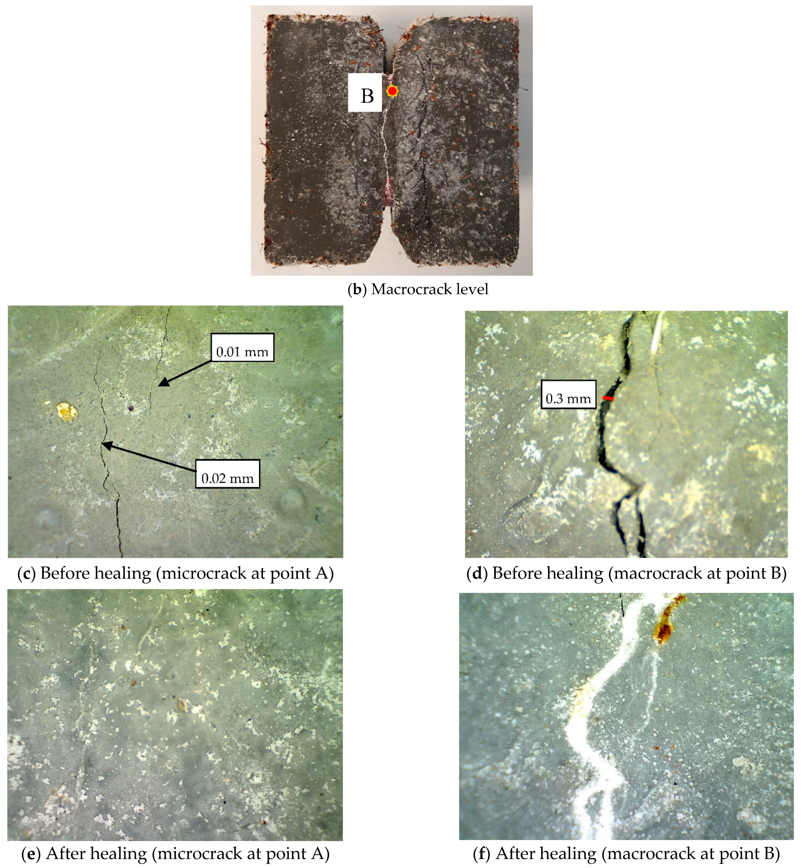 Sustainability 13 03061 g004b