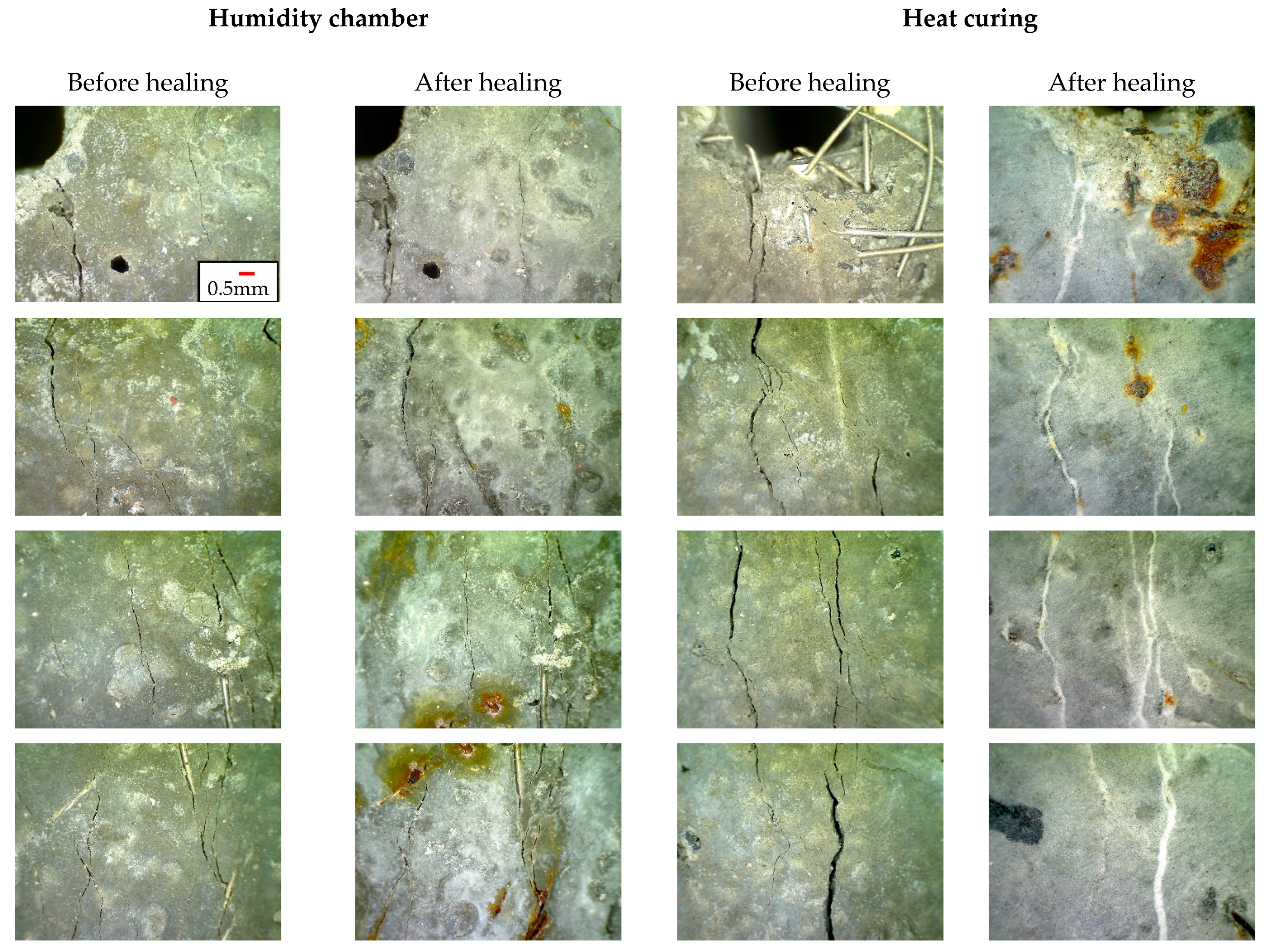 Sustainability 13 03061 g007a