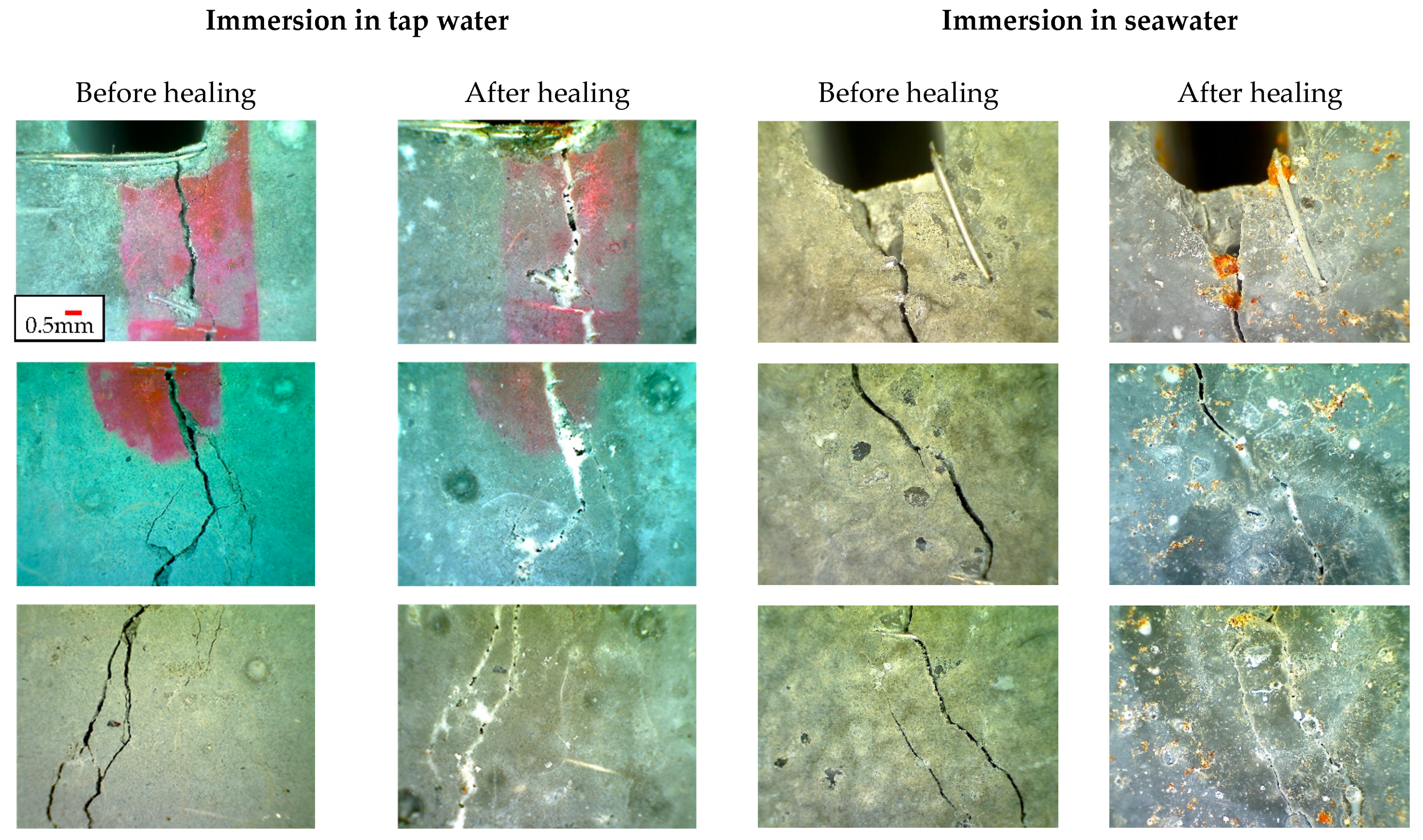 Sustainability 13 03061 g008a