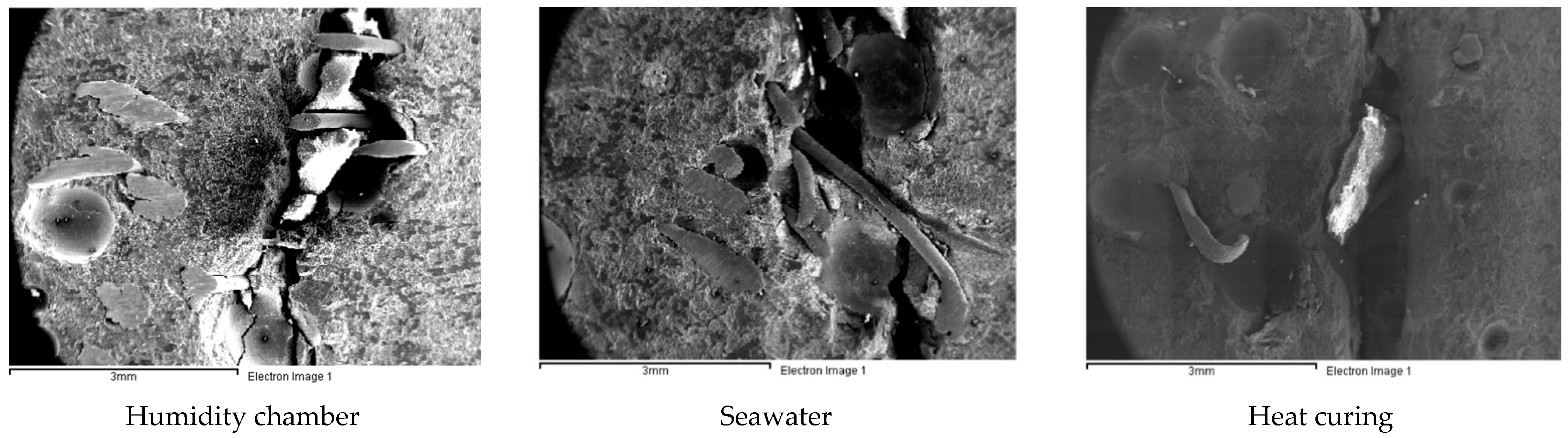 Sustainability 13 03061 g011