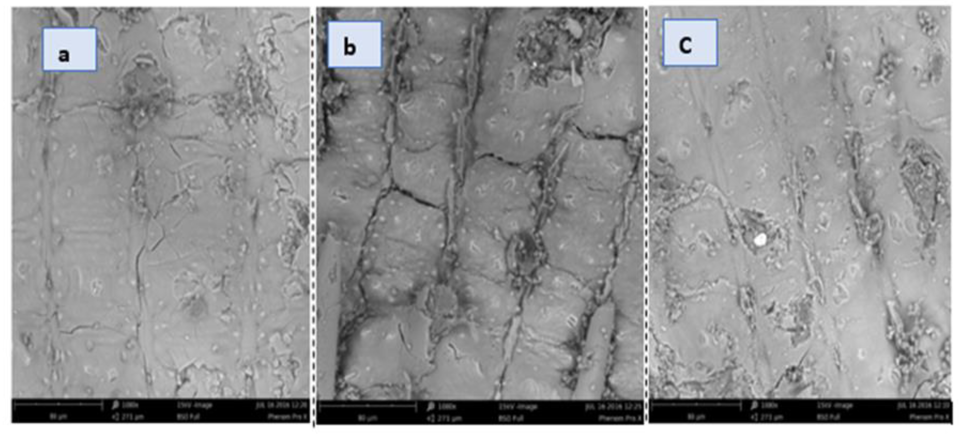 Sustainability 13 03069 g003