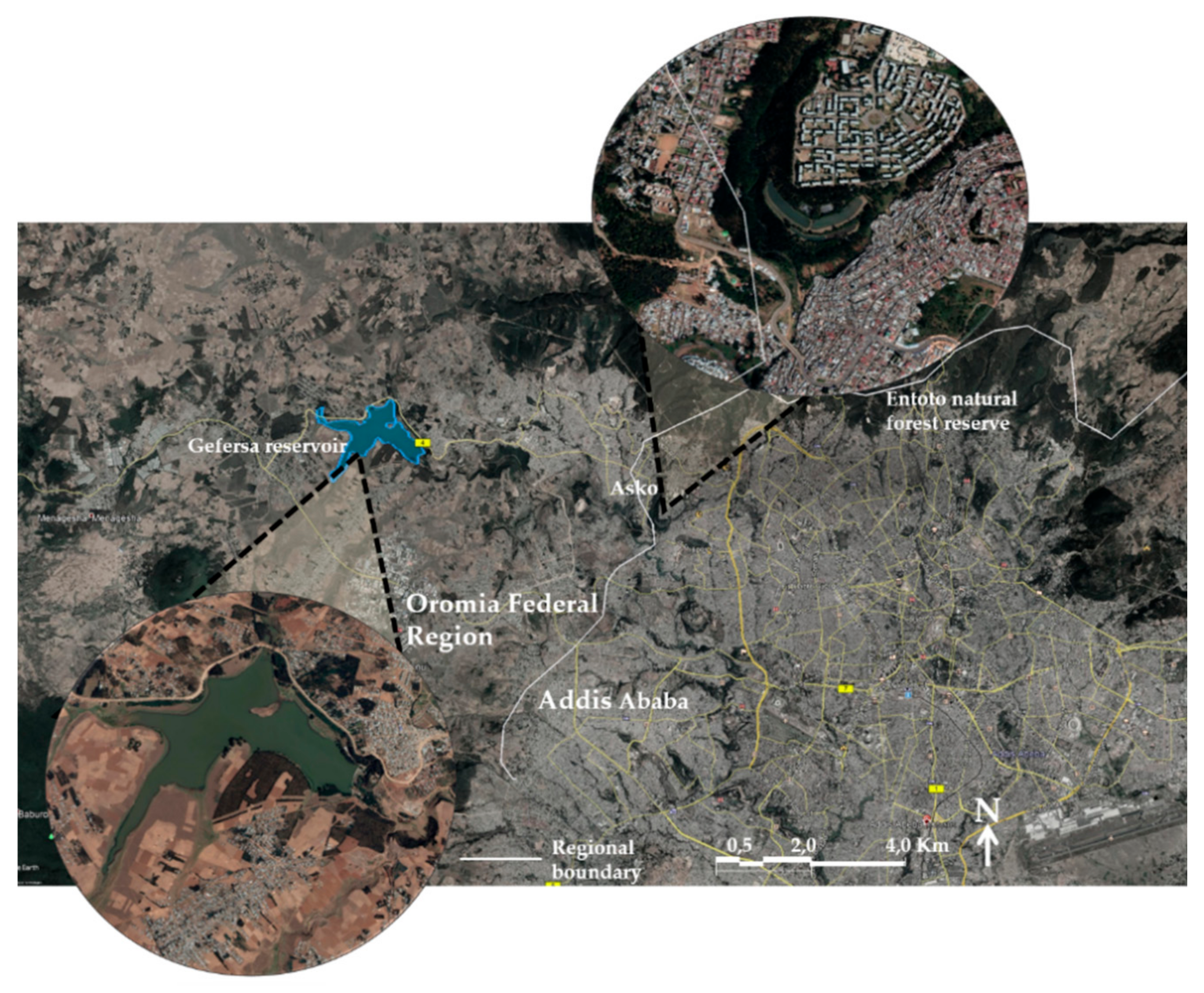 Sustainability 13 03081 g002