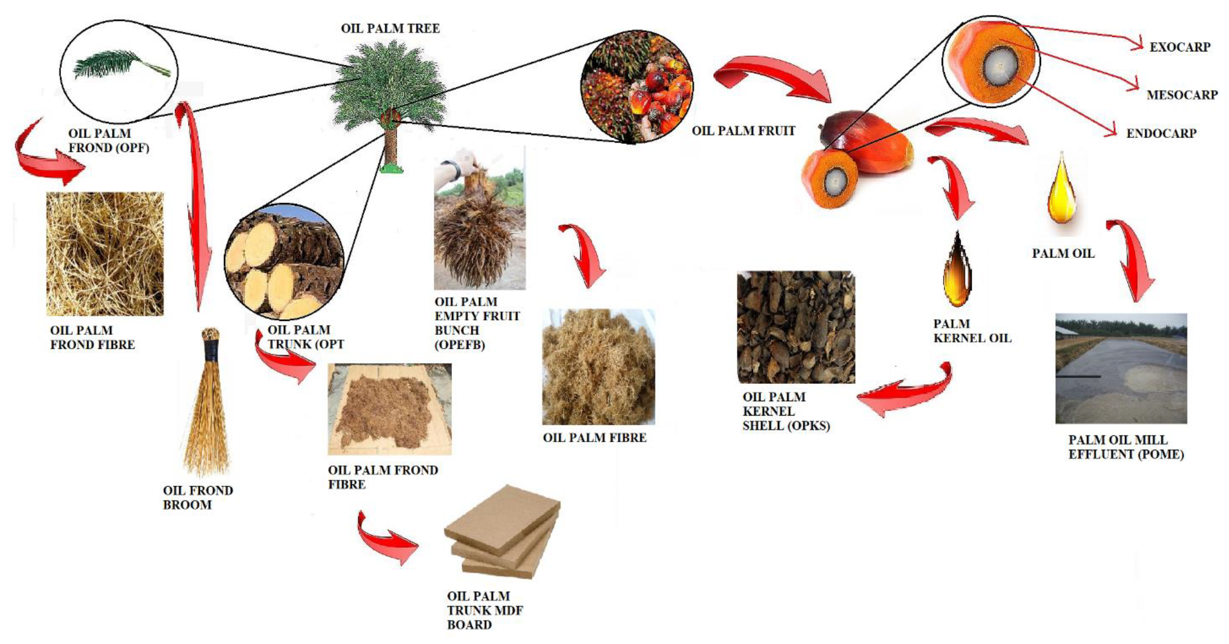 Sustainability 13 03110 g002 Sustainability 13 03110 g002