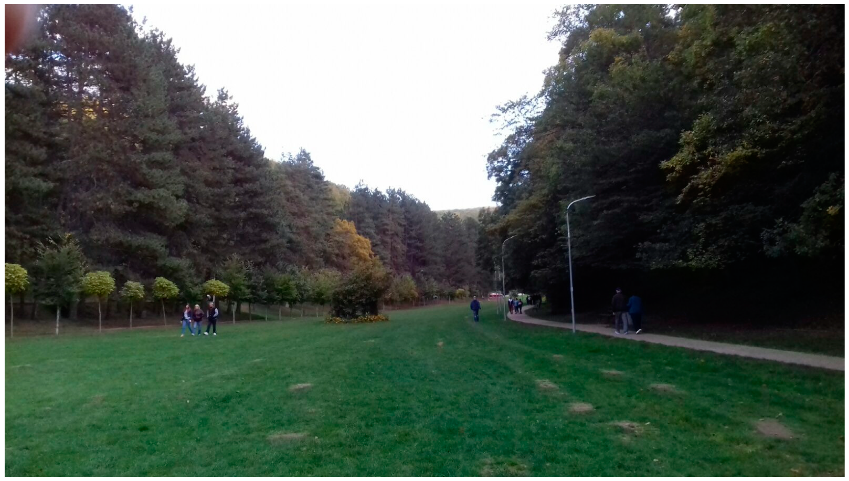 Sustainability 13 03160 g001