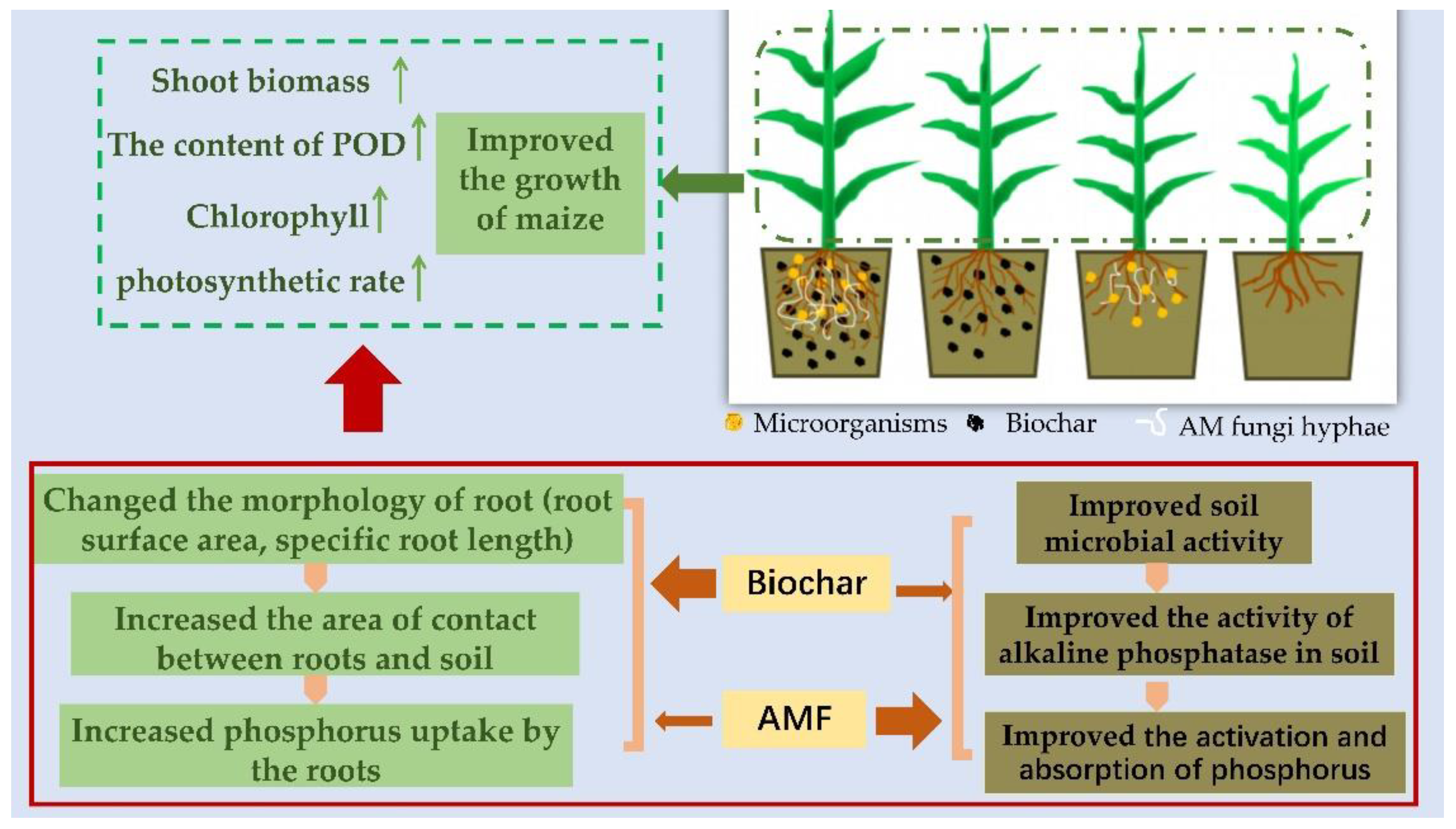 Sustainability 13 03244 g006
