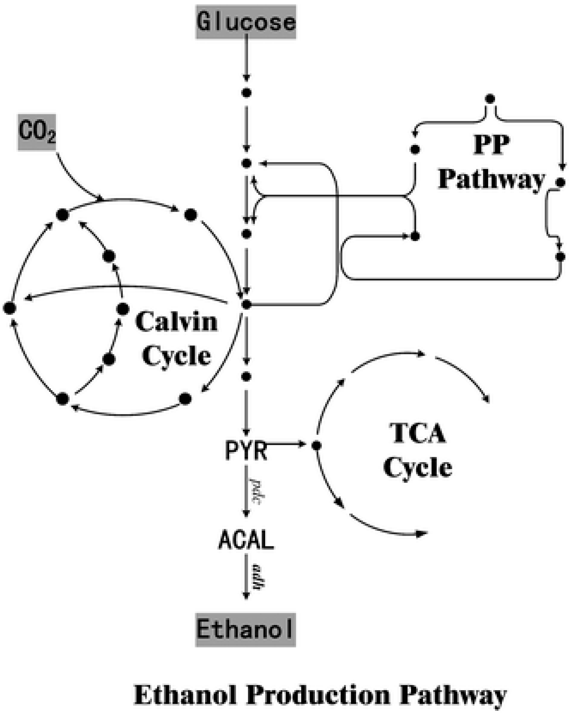 Sustainability 13 03247 g002