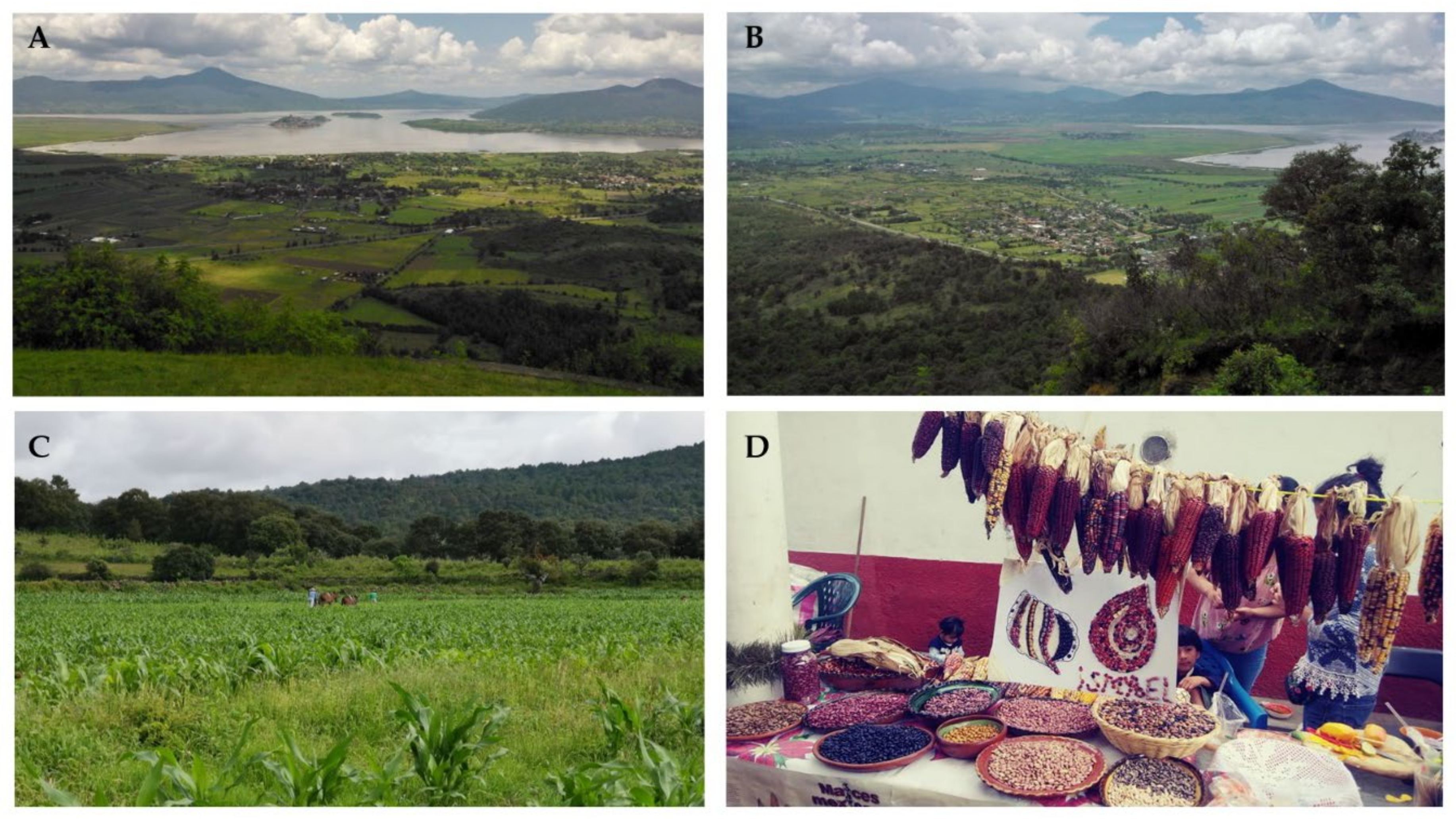 Sustainability 13 03257 g002 Sustainability 13 03257 g002