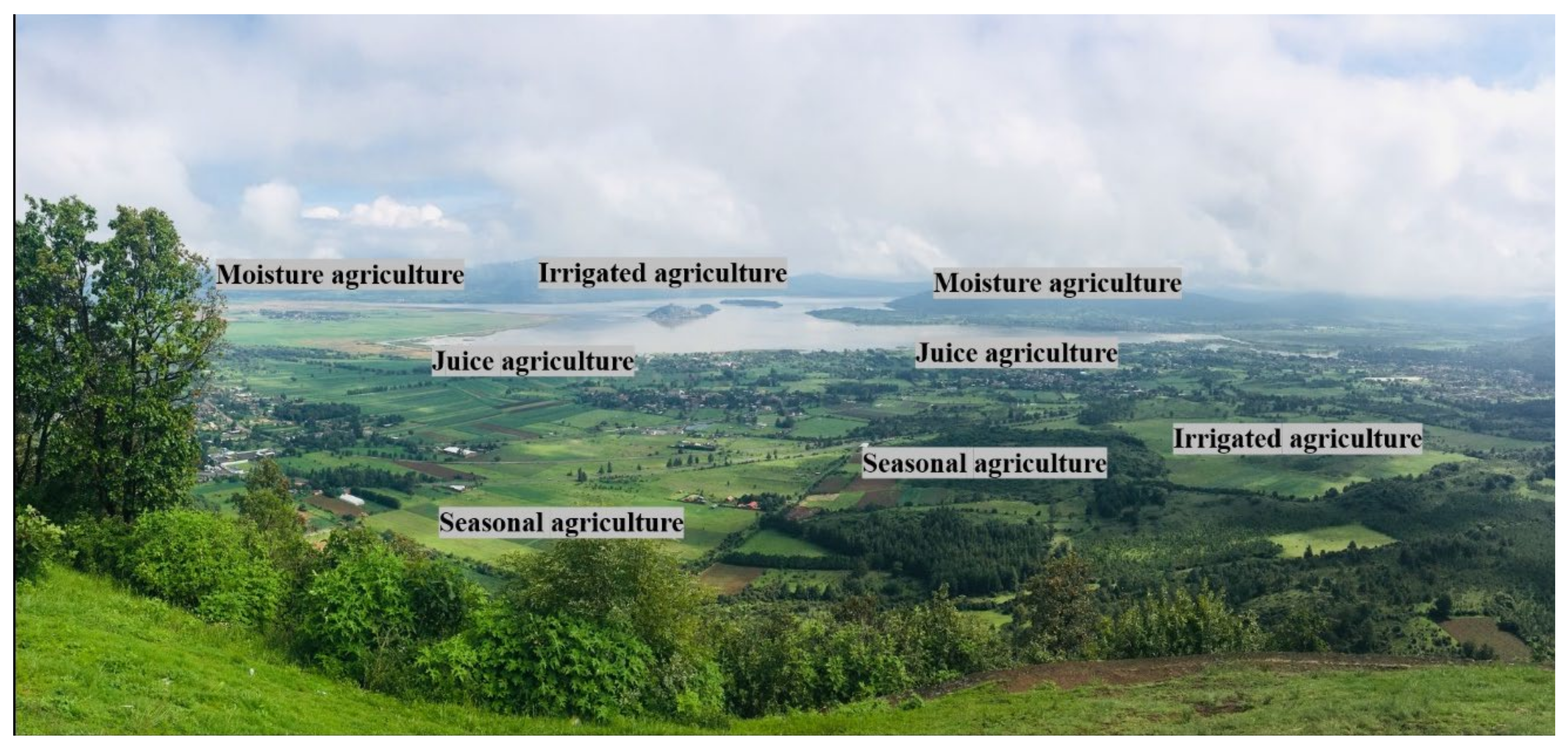 Sustainability 13 03257 g003 Sustainability 13 03257 g003