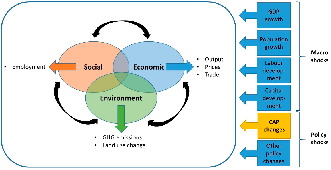 Sustainability 13 03264 g002