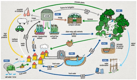 Sustainability 13 03313 g012