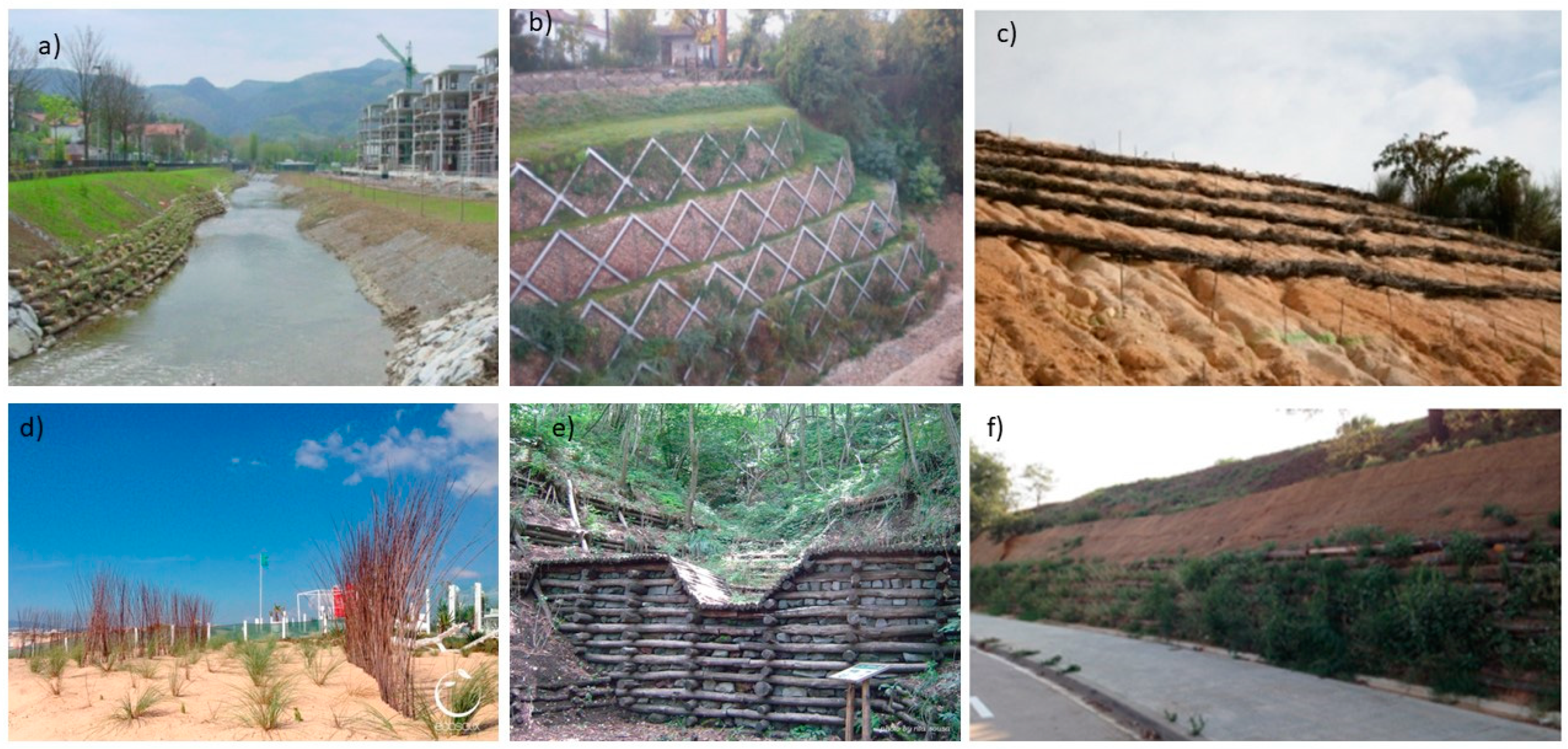 Sustainability 13 03338 g001