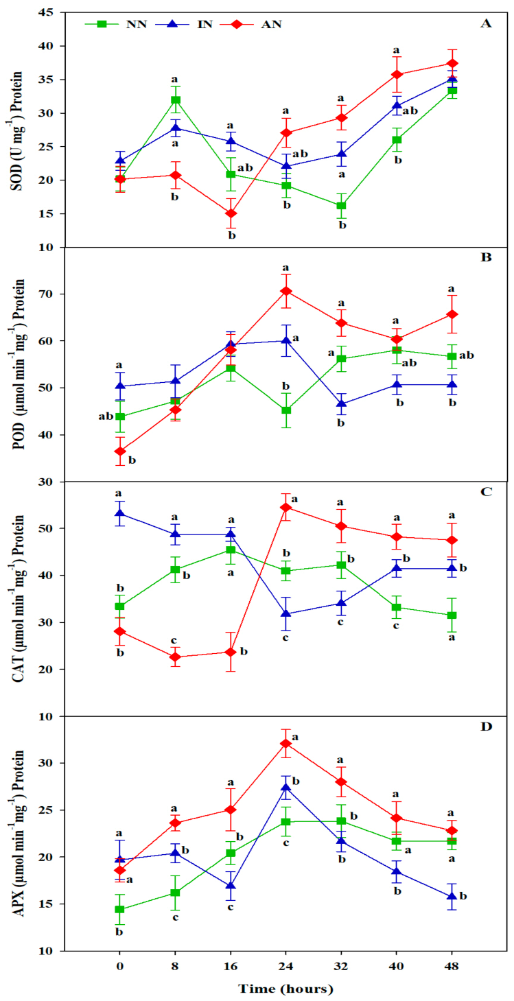 Sustainability 13 03369 g005