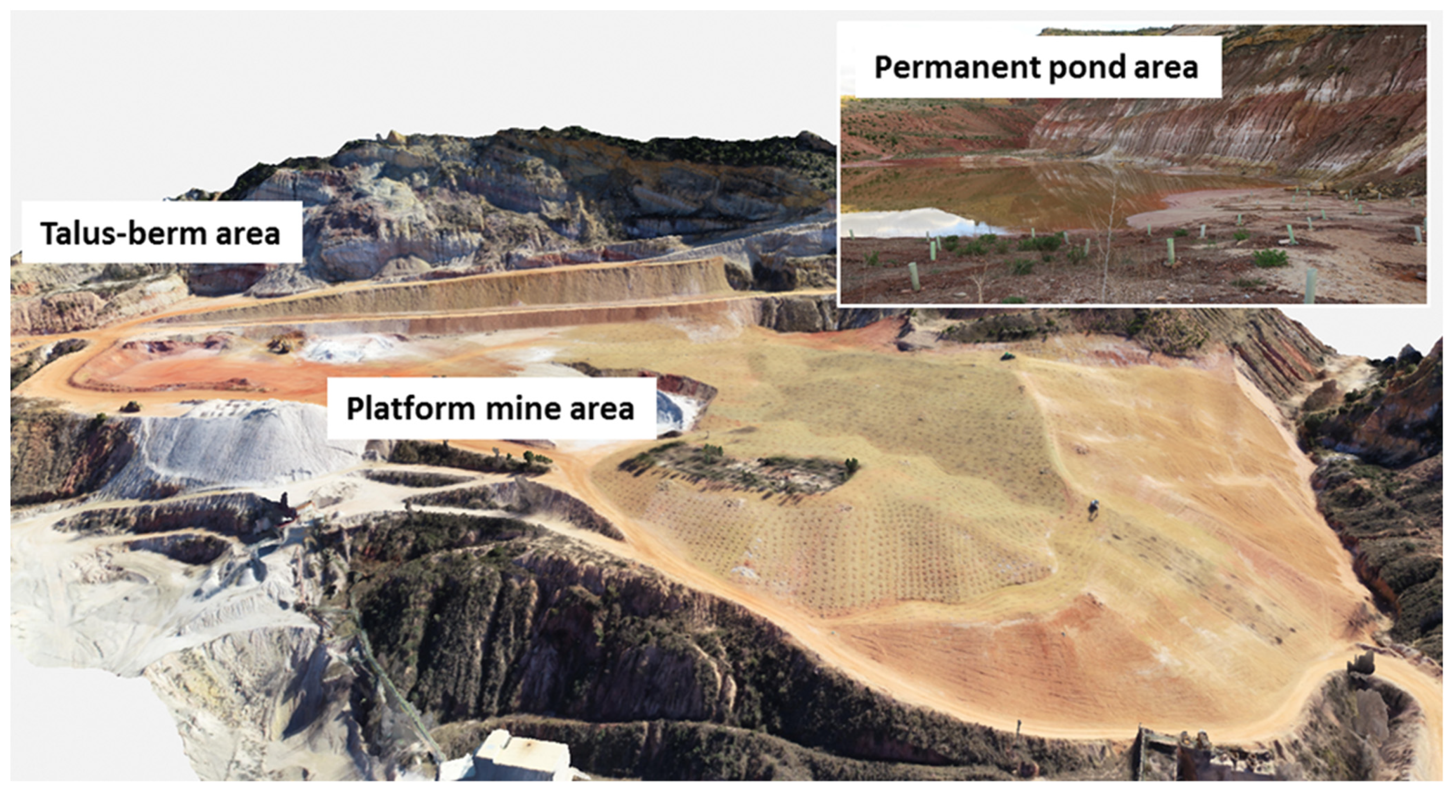 Sustainability 13 03439 g002