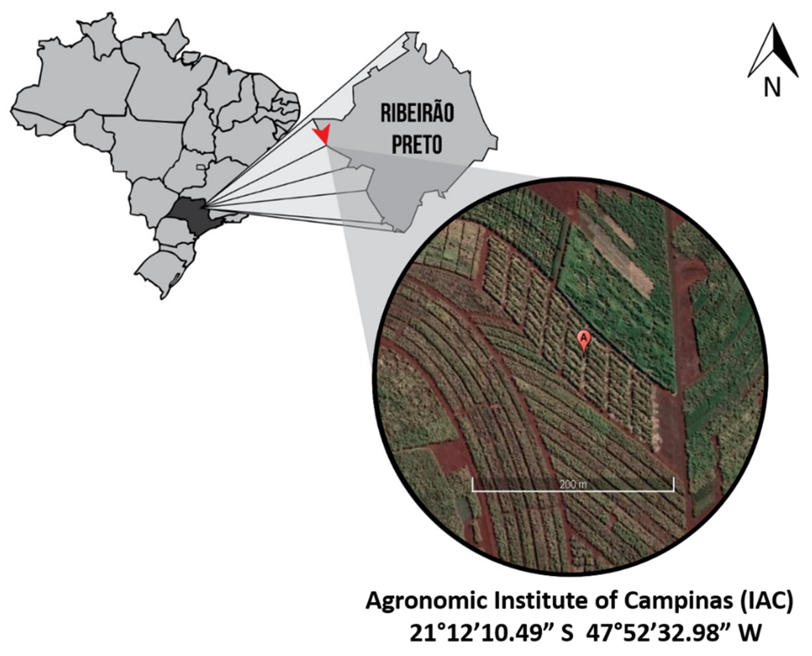 Sustainability 13 03448 g001