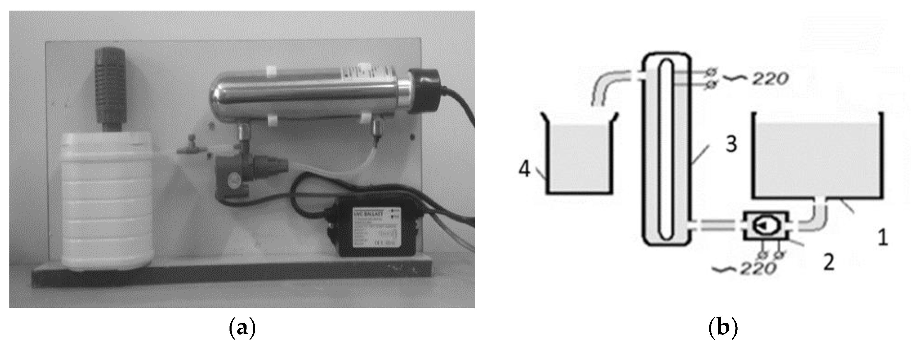 Sustainability 13 03467 g001