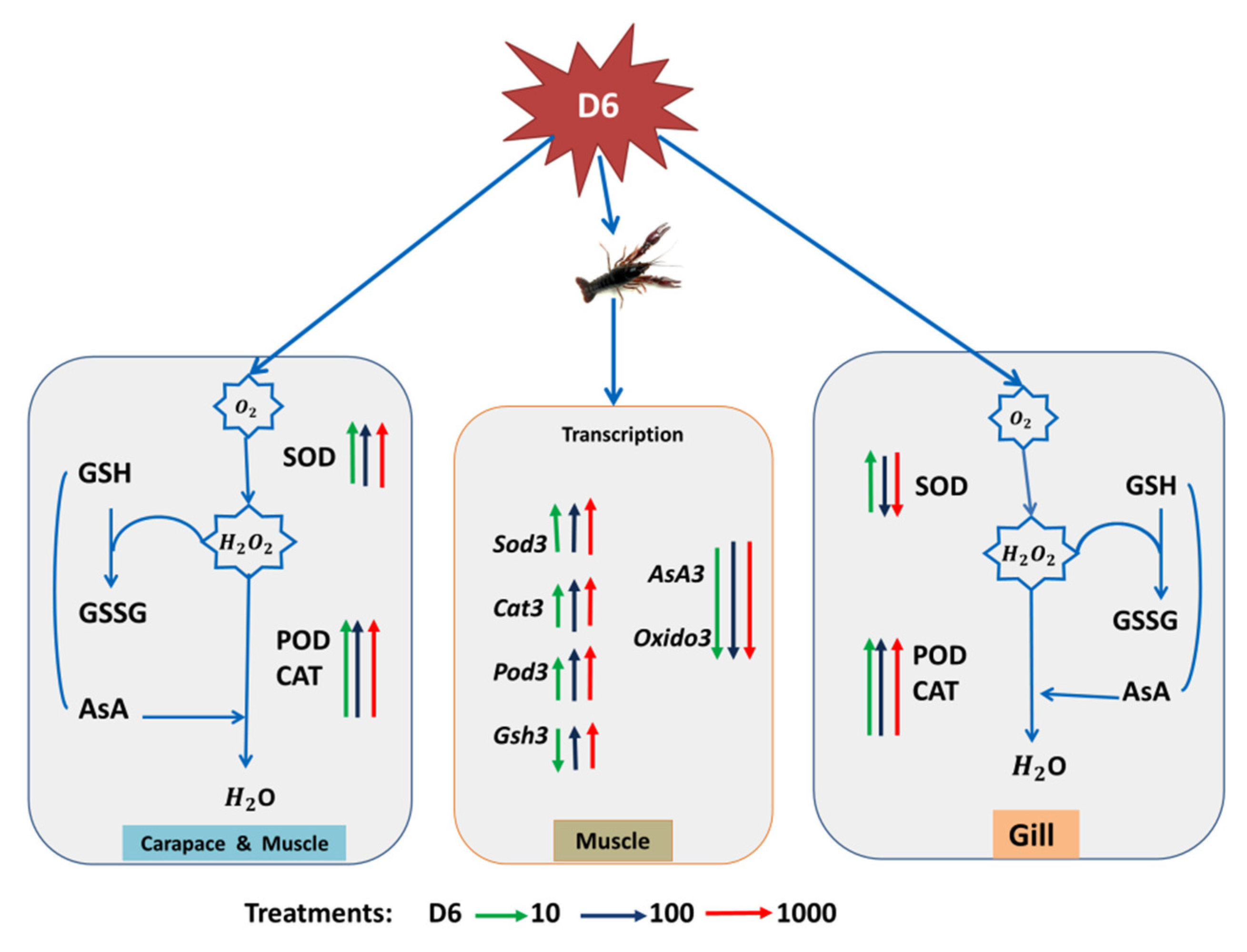 Sustainability 13 03495 g005