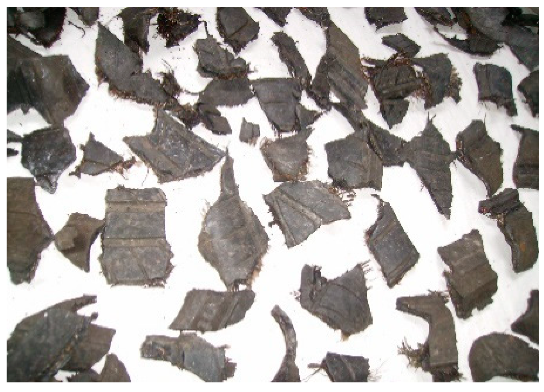 Sustainability 13 03500 g001