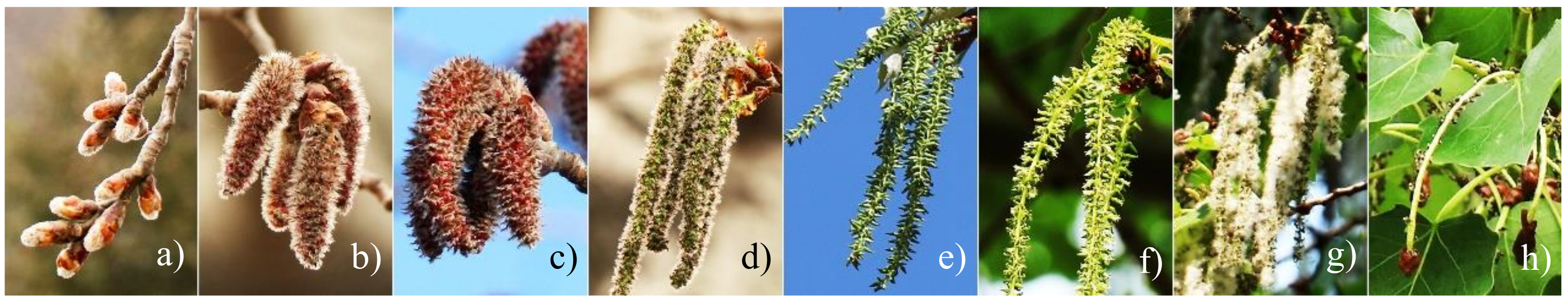 Sustainability 13 03518 g002