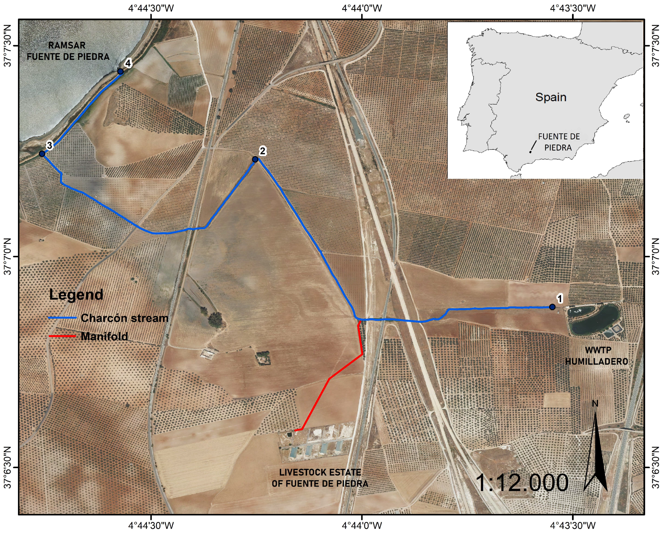 Sustainability 13 03540 g001