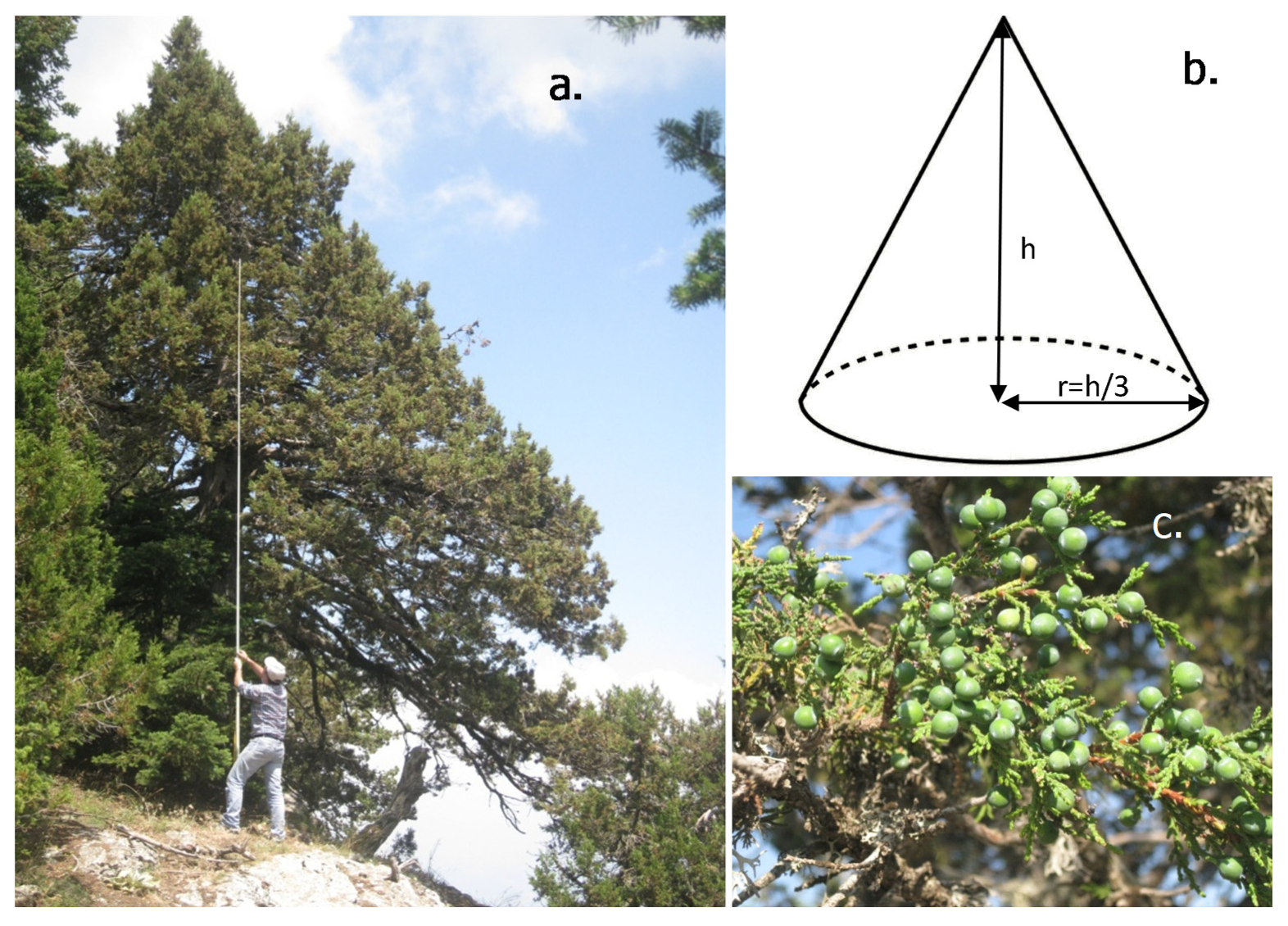 Sustainability 13 03544 g003