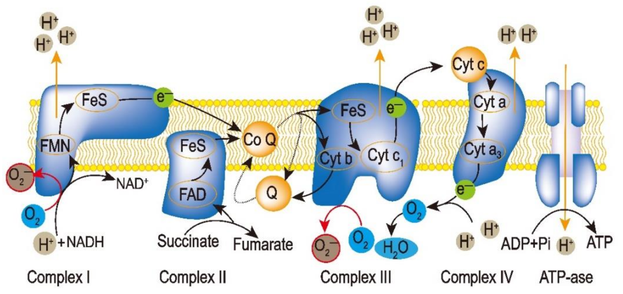 Sustainability 13 03552 g001 Sustainability 13 03552 g001