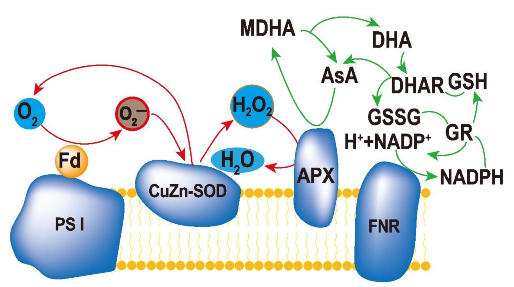Sustainability 13 03552 g003 Sustainability 13 03552 g003