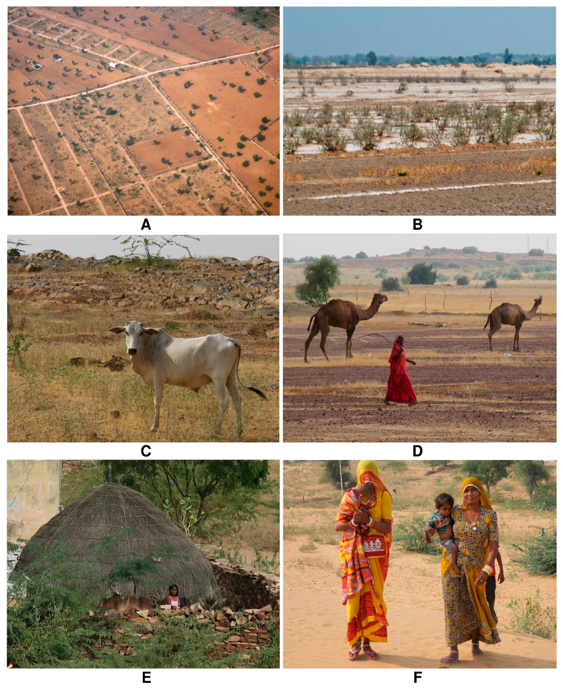 Sustainability 13 03602 g005