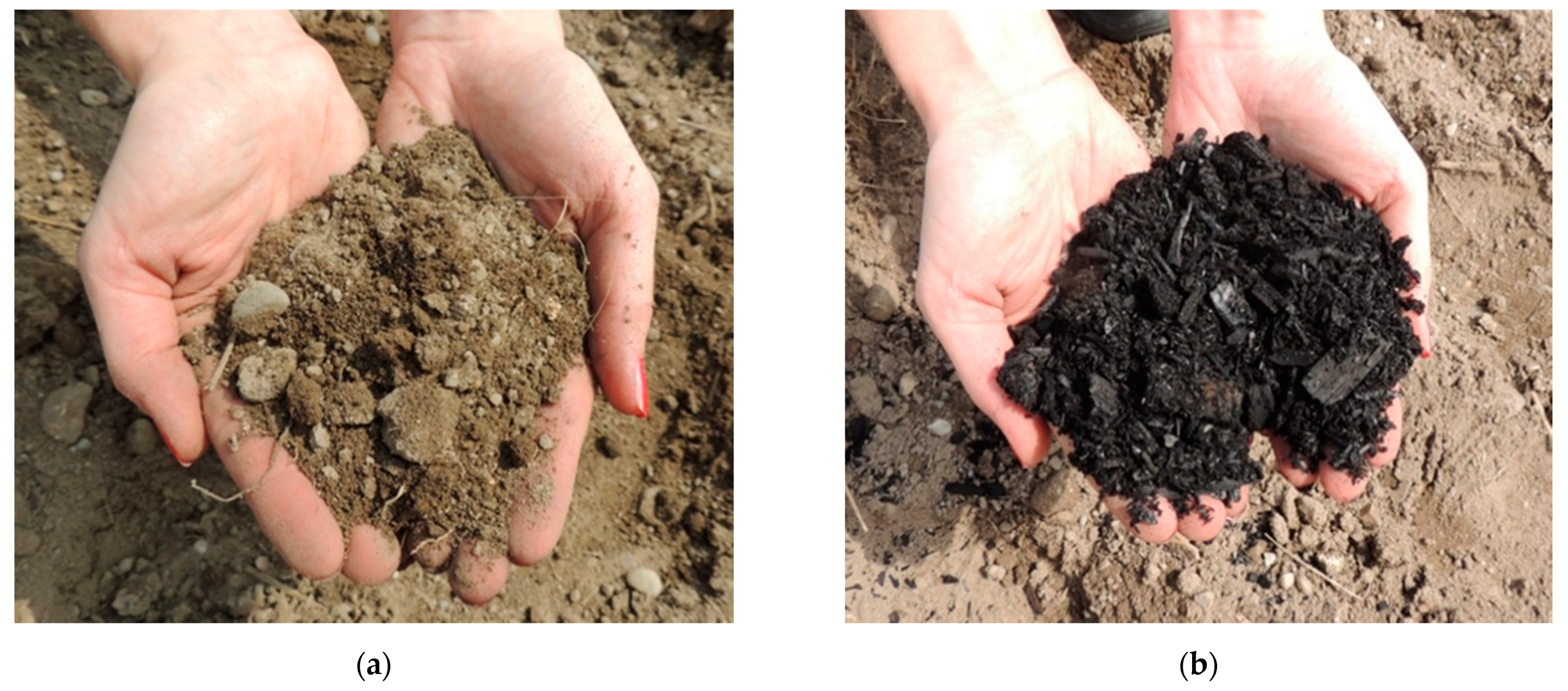 Sustainability 13 03617 g001