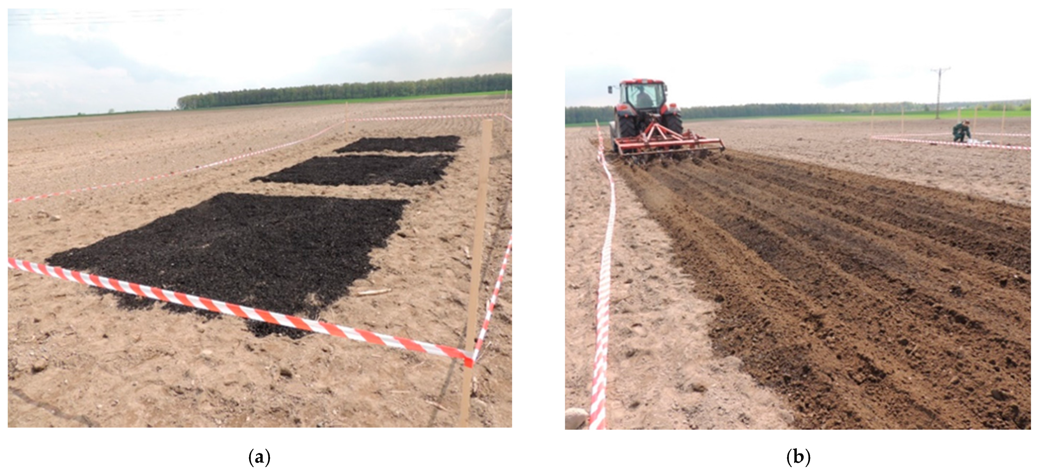 Sustainability 13 03617 g002