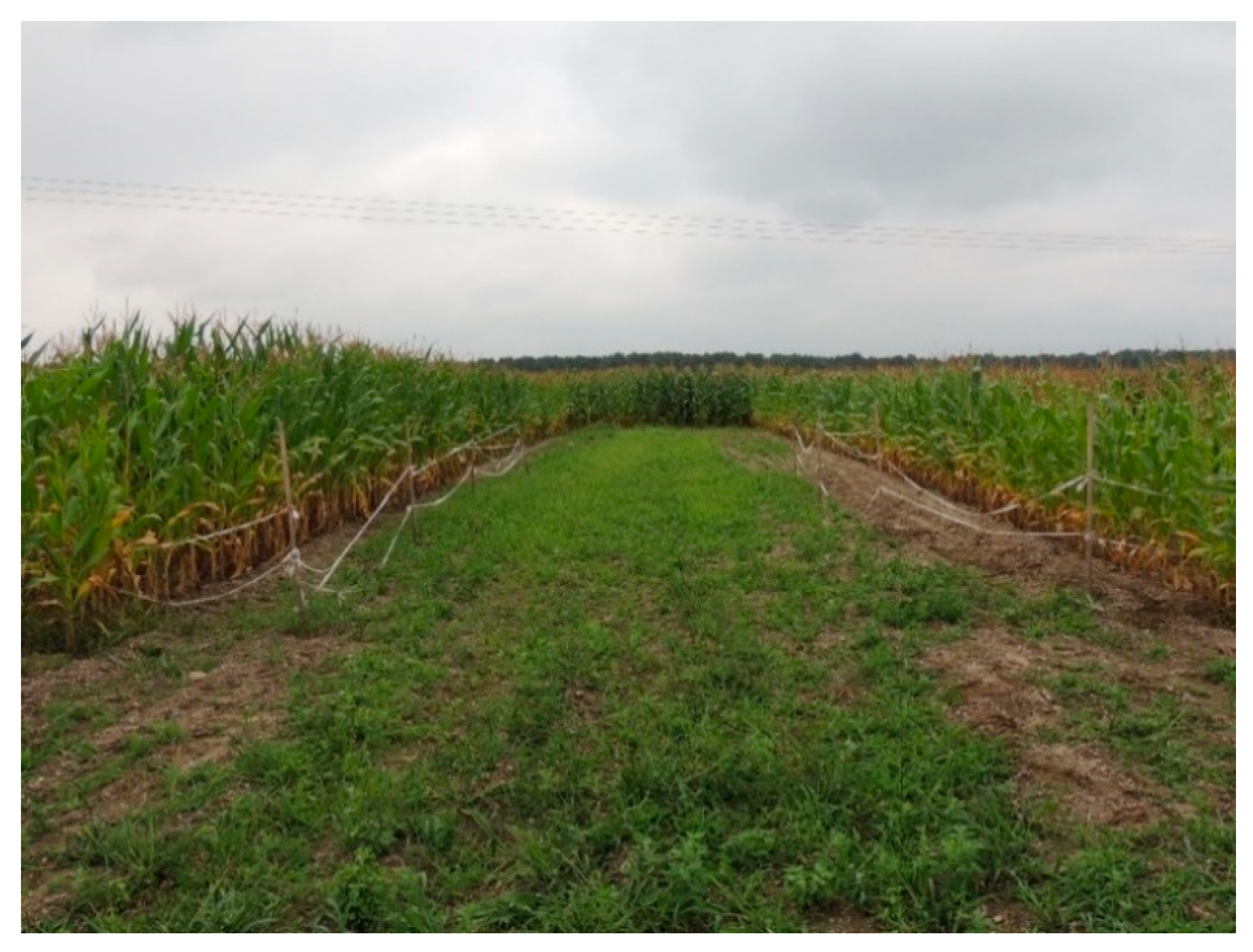 Sustainability 13 03617 g003