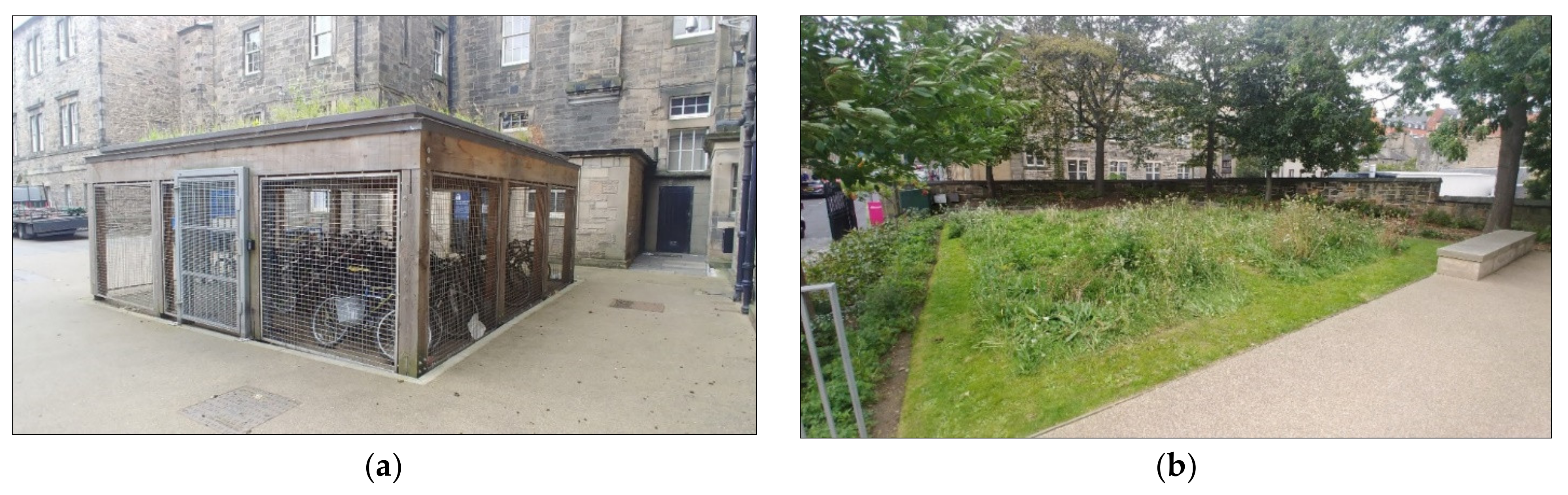 Sustainability 13 03620 g010