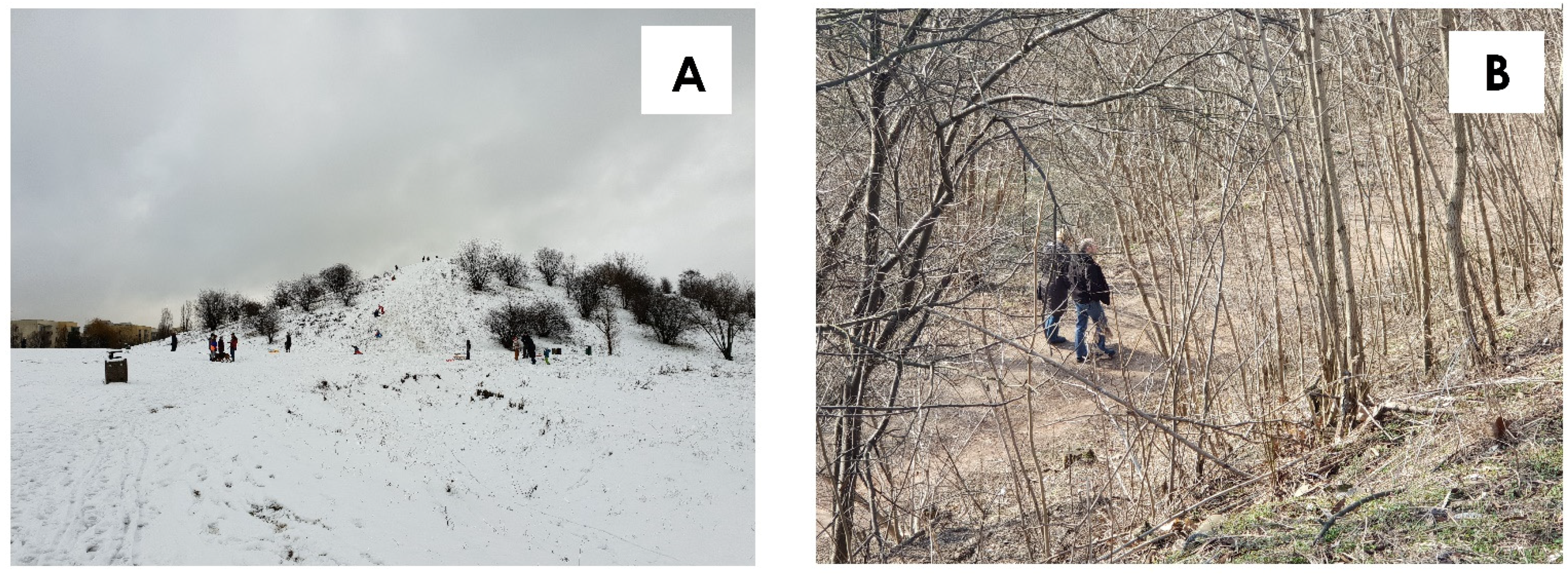 Sustainability 13 03691 g005