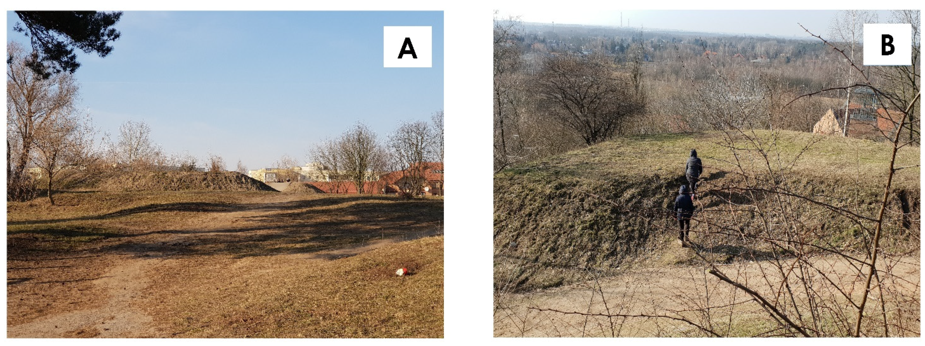 Sustainability 13 03691 g009