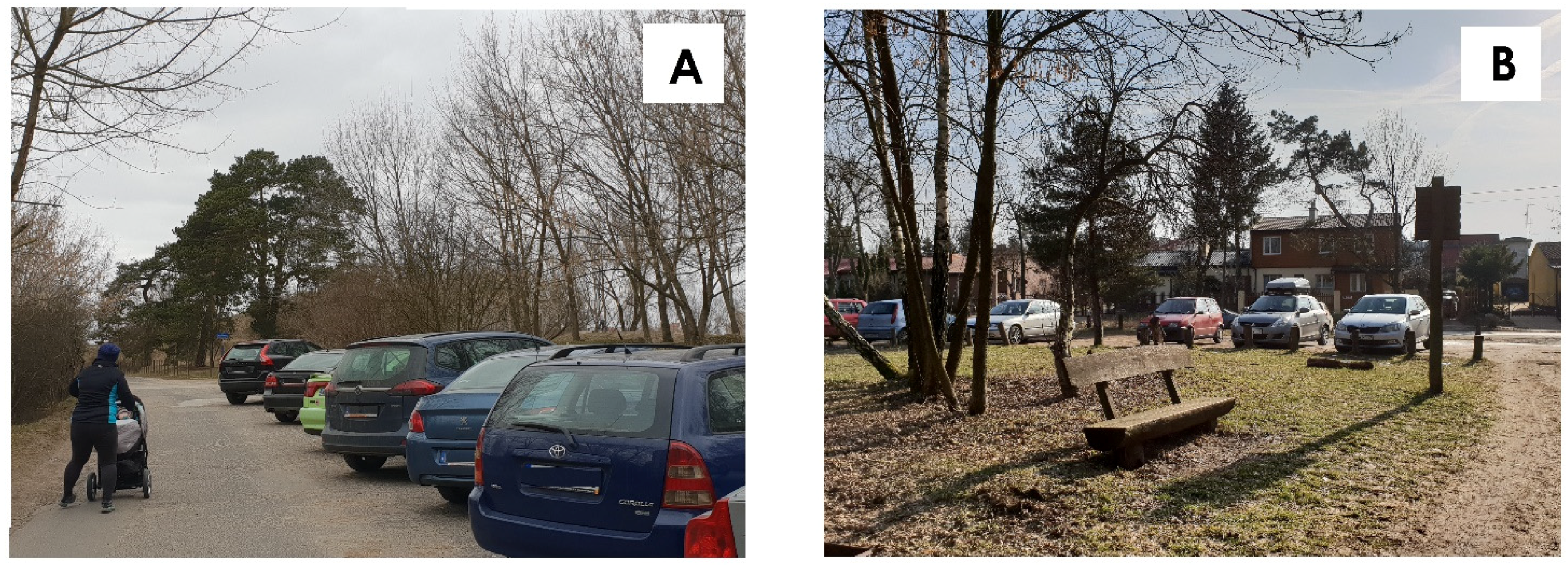 Sustainability 13 03691 g010