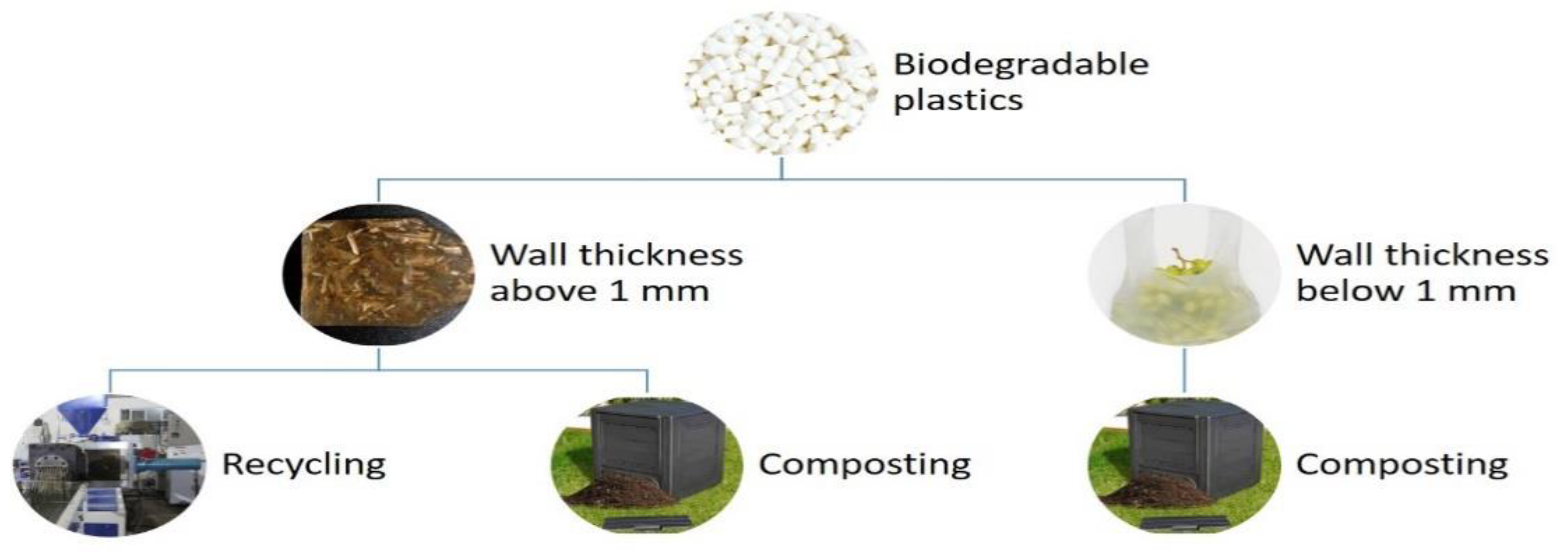 Sustainability 13 03701 g013