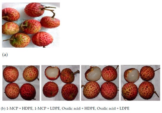 Sustainability 13 03703 sch0a1a