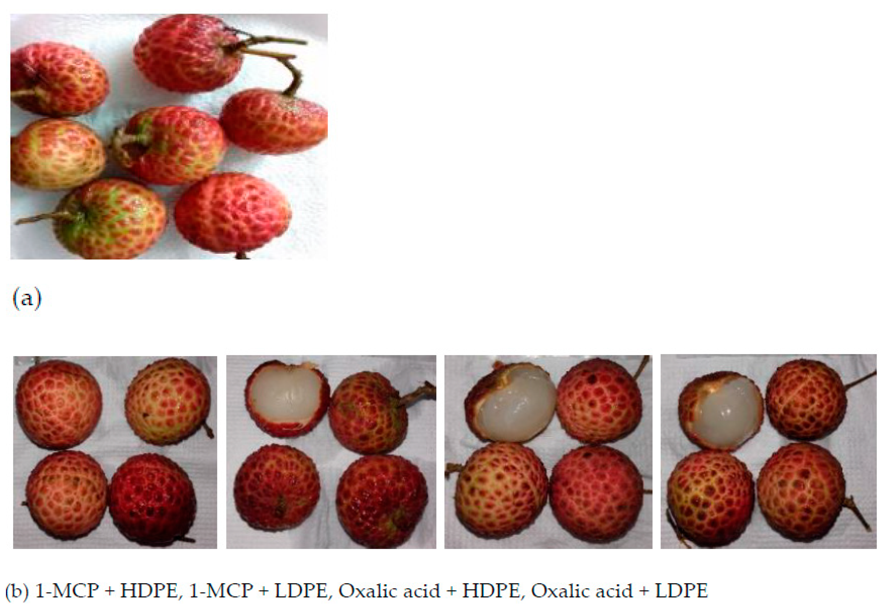 Sustainability 13 03703 sch0a1a