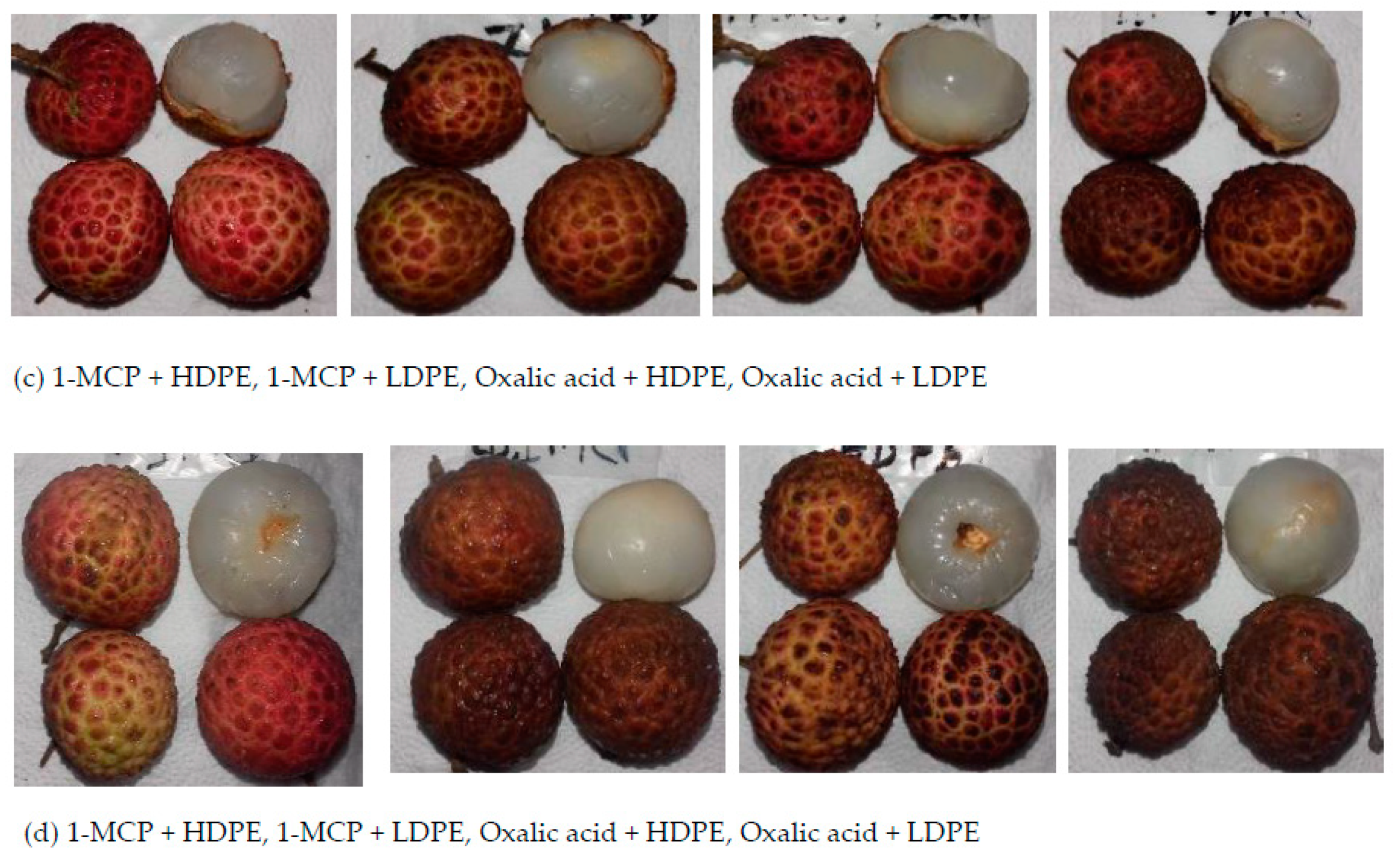 Sustainability 13 03703 sch0a1b