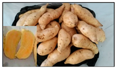 Sustainability 13 03730 i002 Sustainability 13 03730 i002