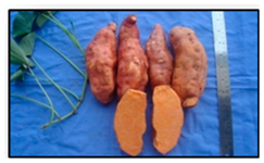 Sustainability 13 03730 i003 Sustainability 13 03730 i003