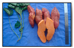 Sustainability 13 03730 i004 Sustainability 13 03730 i004